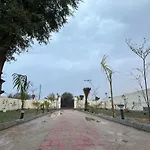 Blue Wind Palms