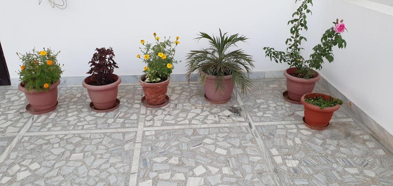 Apartment Traverse Jaipur