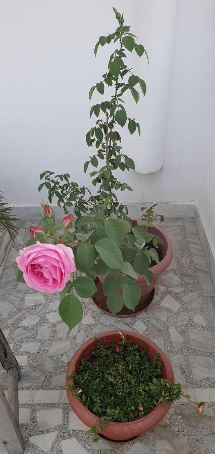 Traverse Jaipur