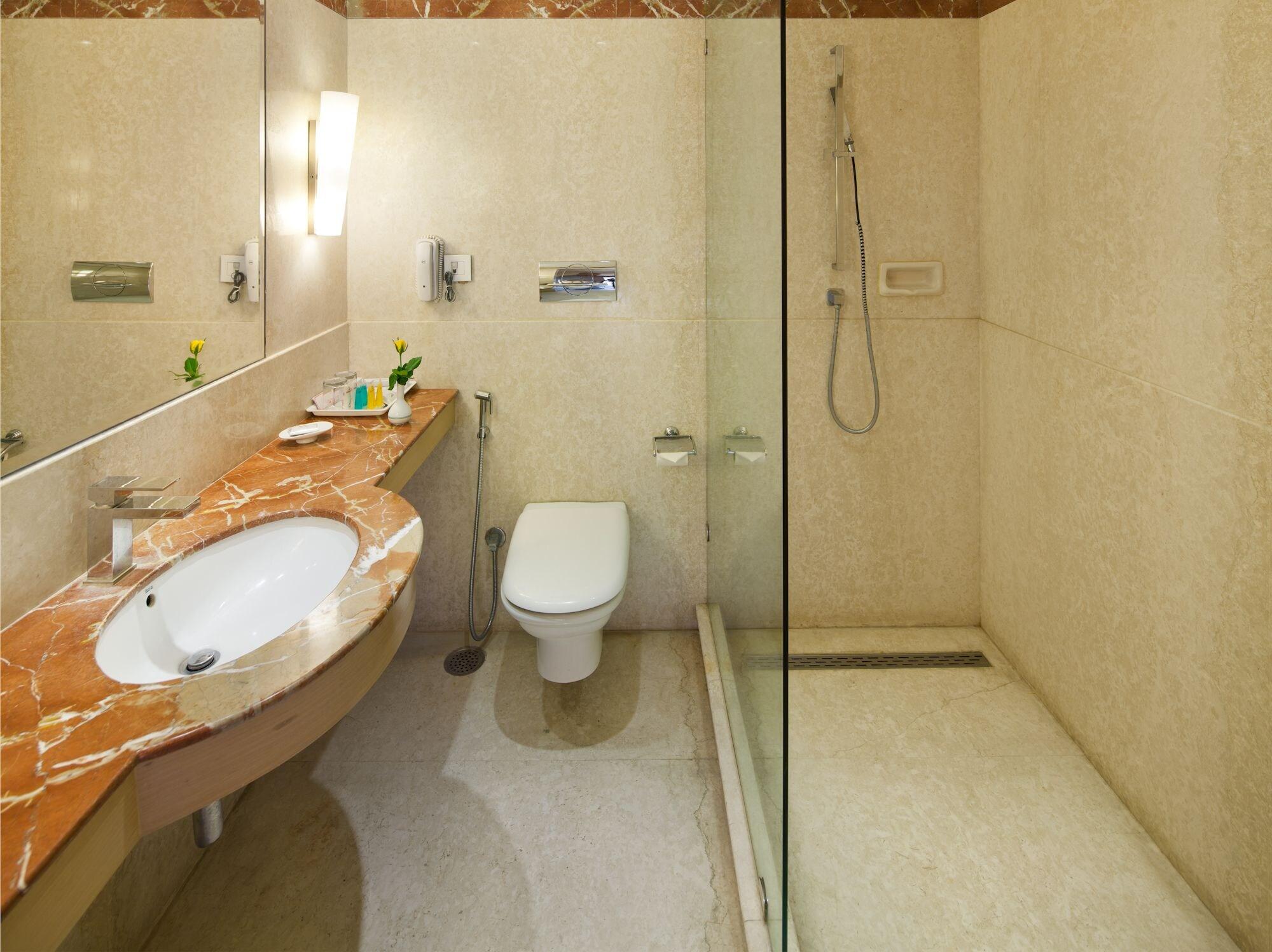 V Sarovar Portico Mi Road 4*