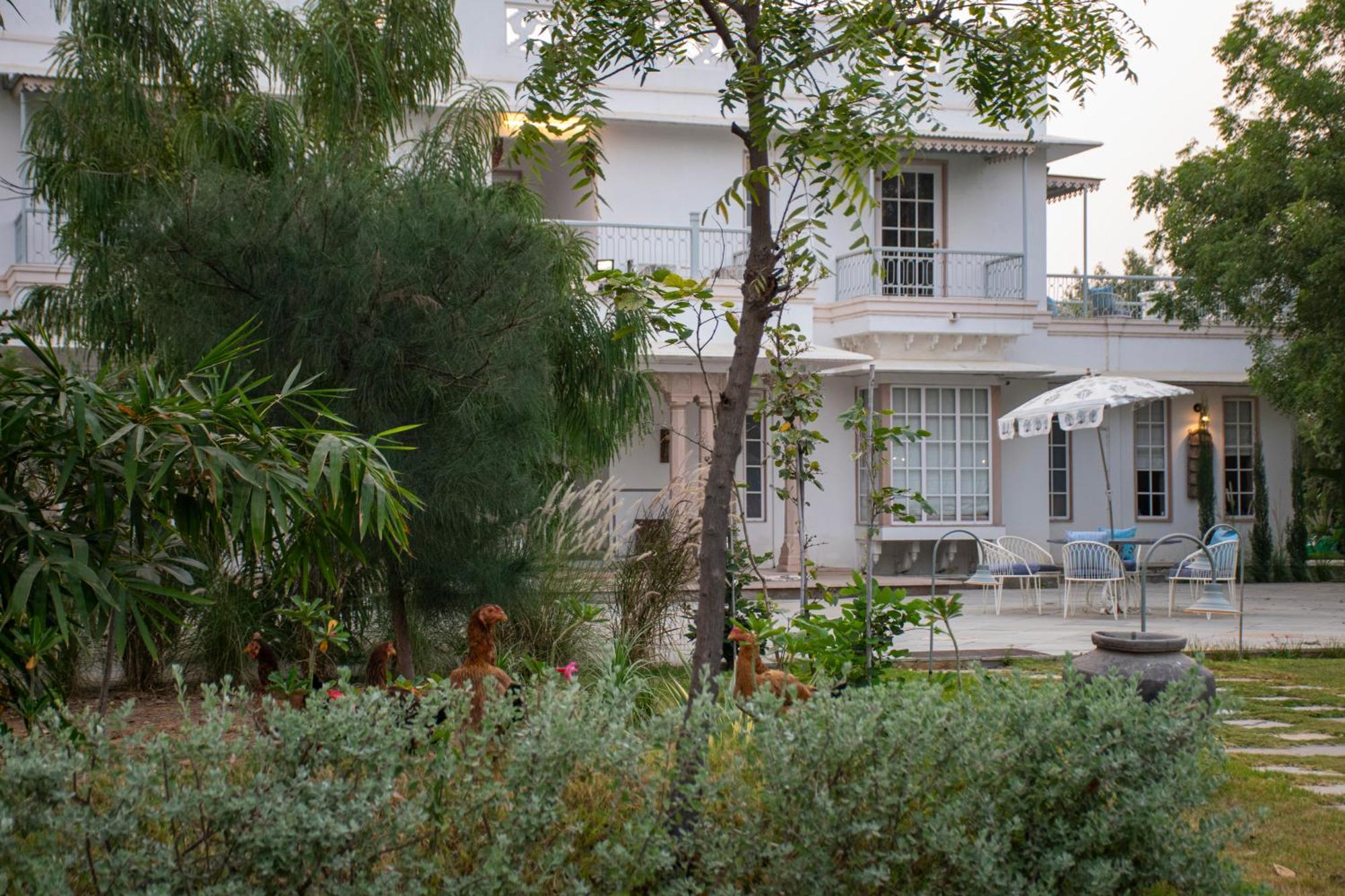 Naila Kothi - A Luxury Boutique Royal In Bed & Breakfast Jaipur