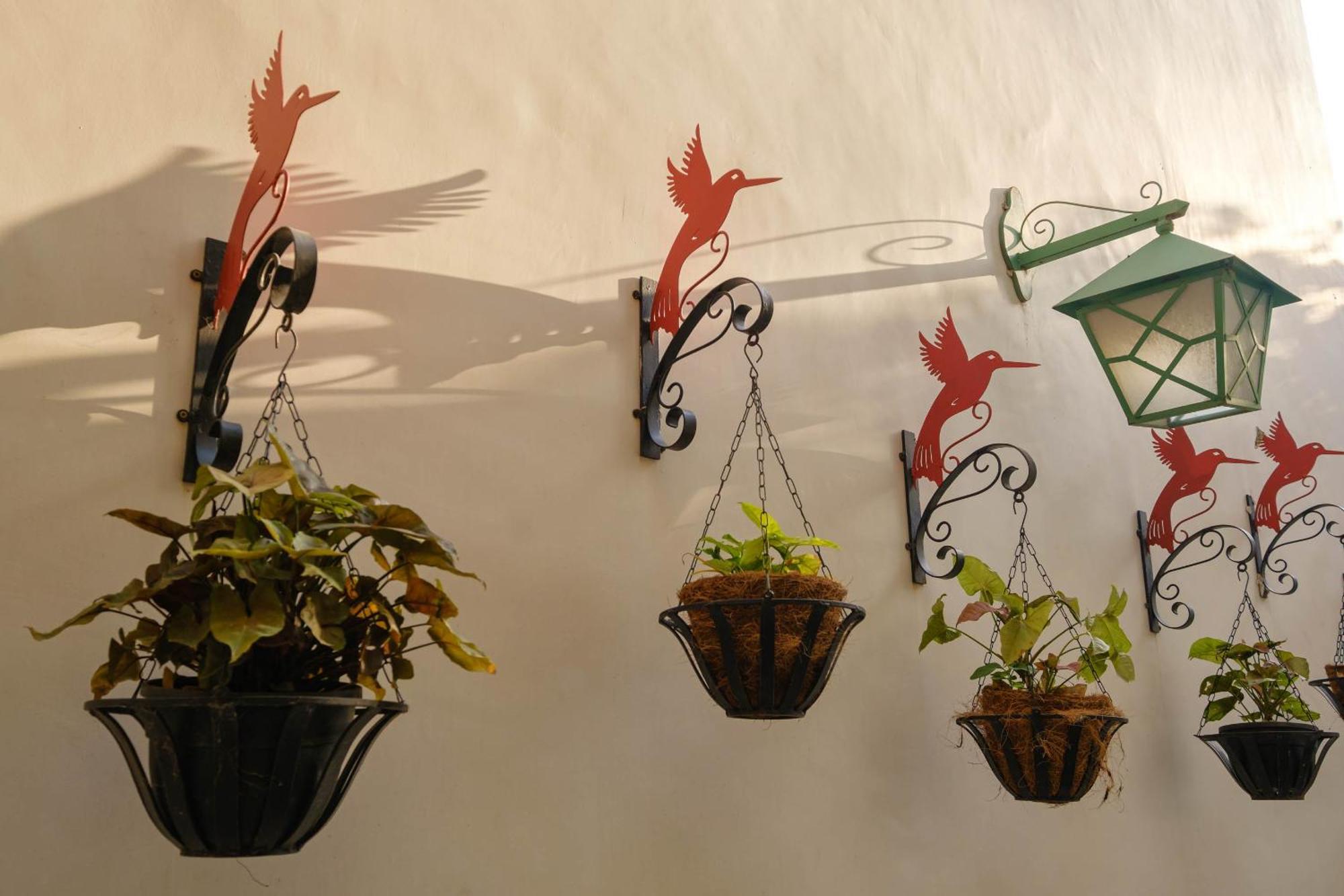 Bed & Breakfast Shree Nikunj - A Luxury Boutique In