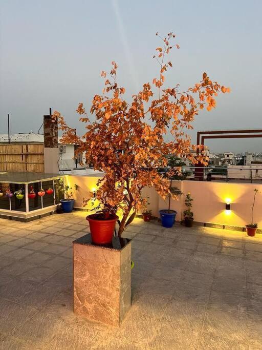 Sky Port Bhk Netflix Prime Wi-fi Rooftop Apartment