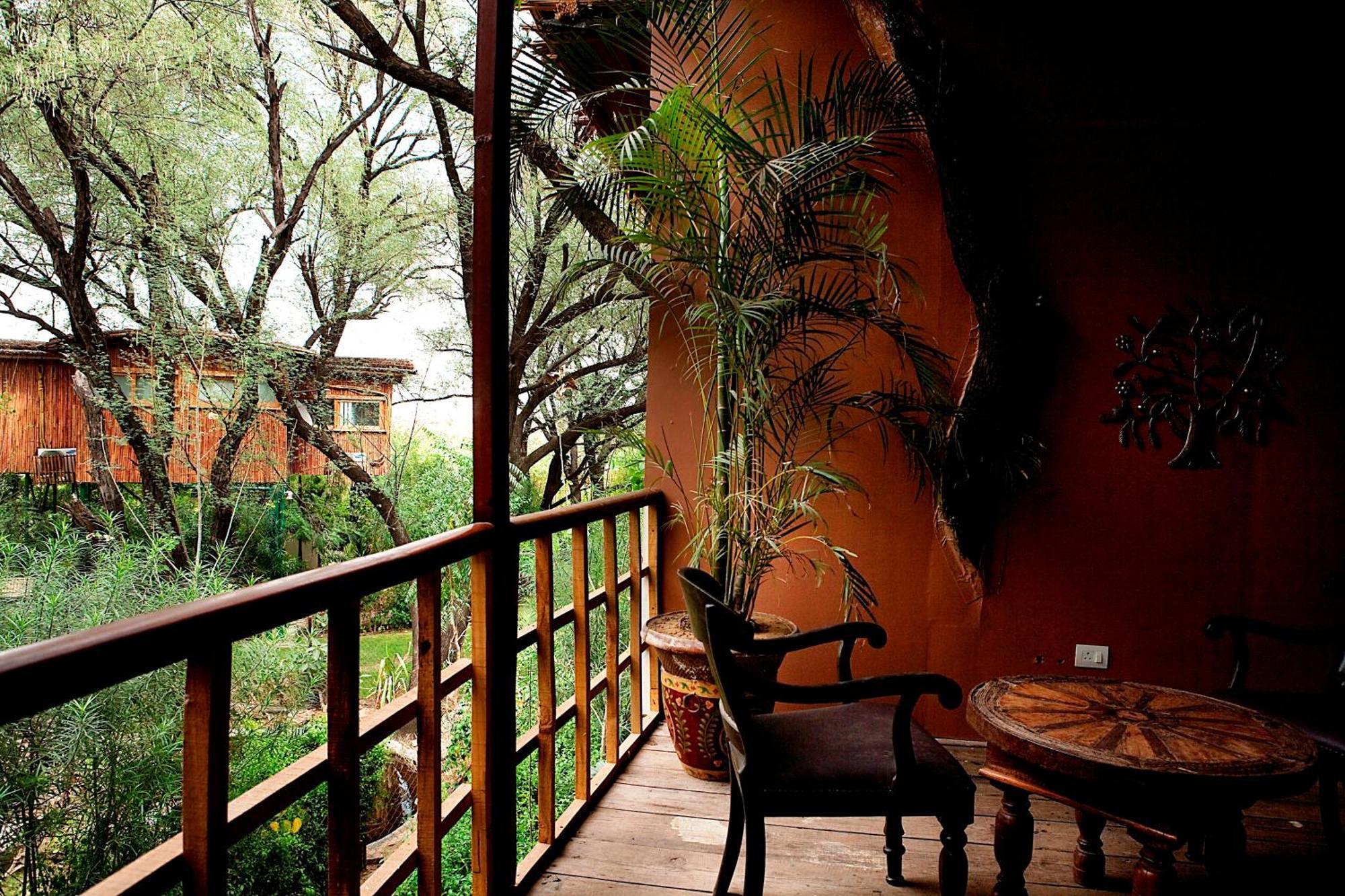 The Tree House 4*