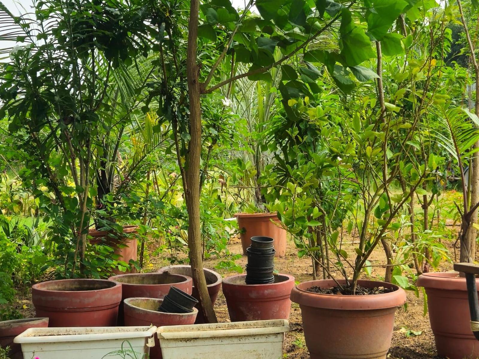 Farm stay Bliss Farm *