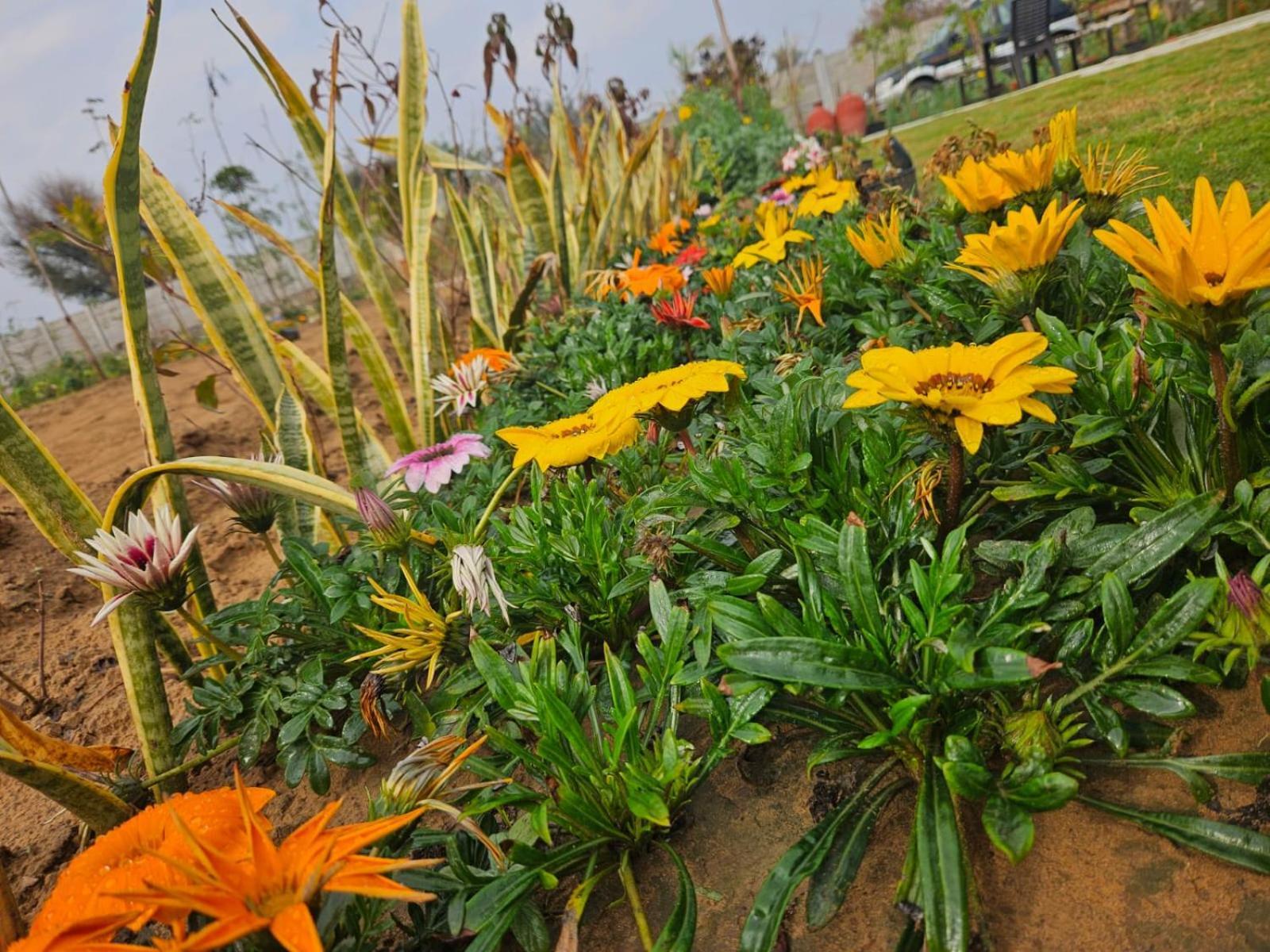 Bliss Farm Jaipur