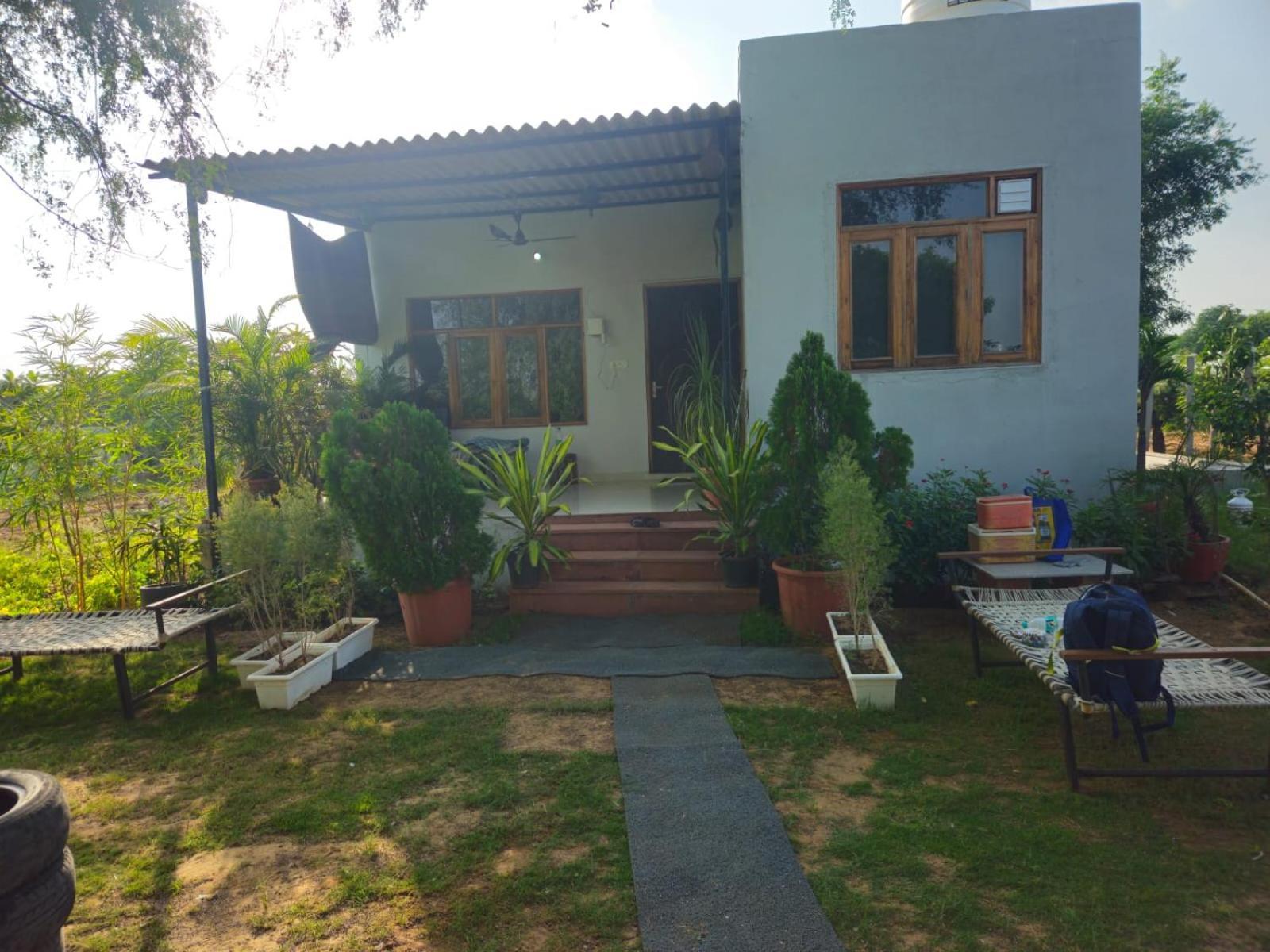 Bliss Farm *
