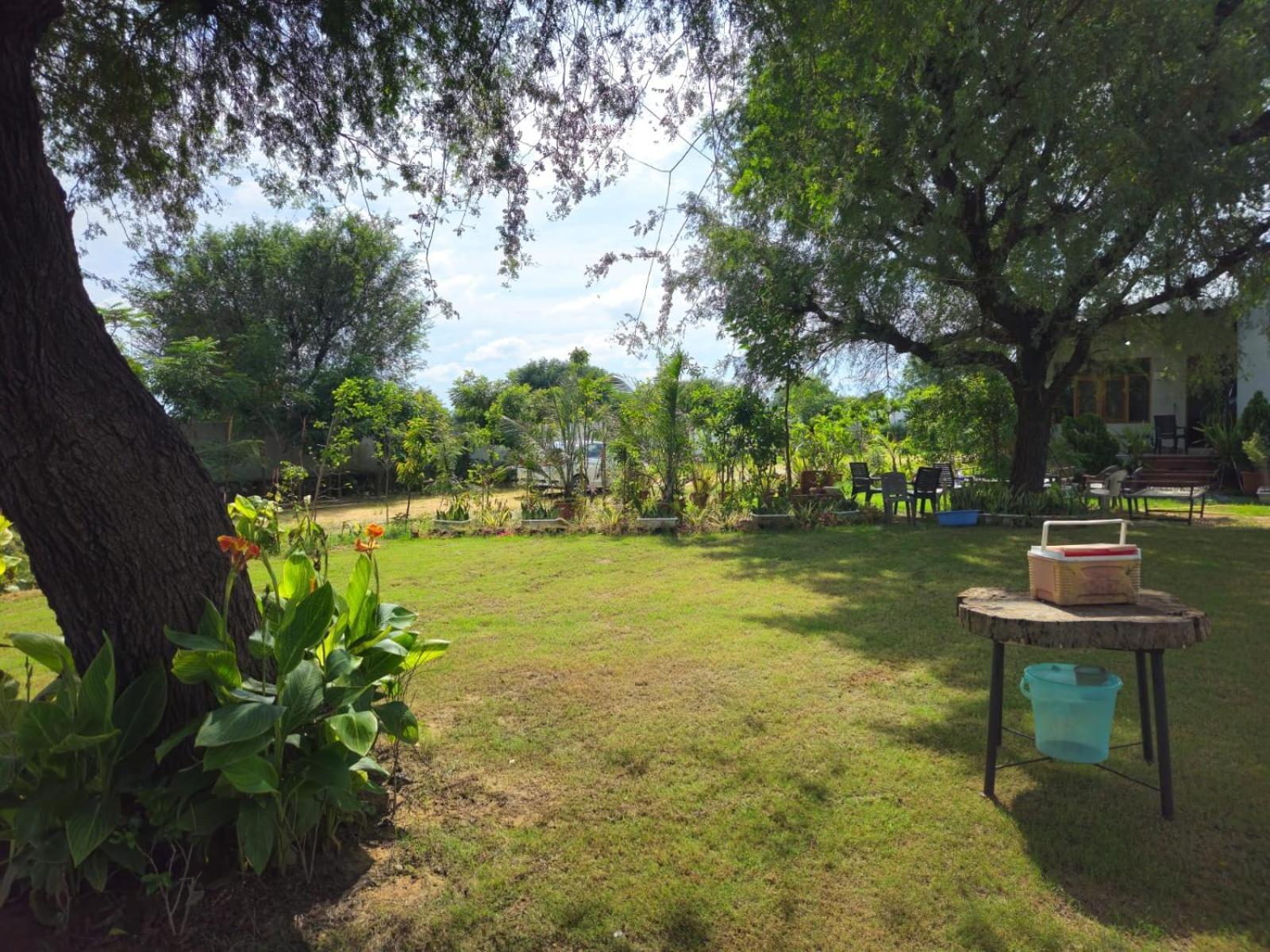 Bliss Farm