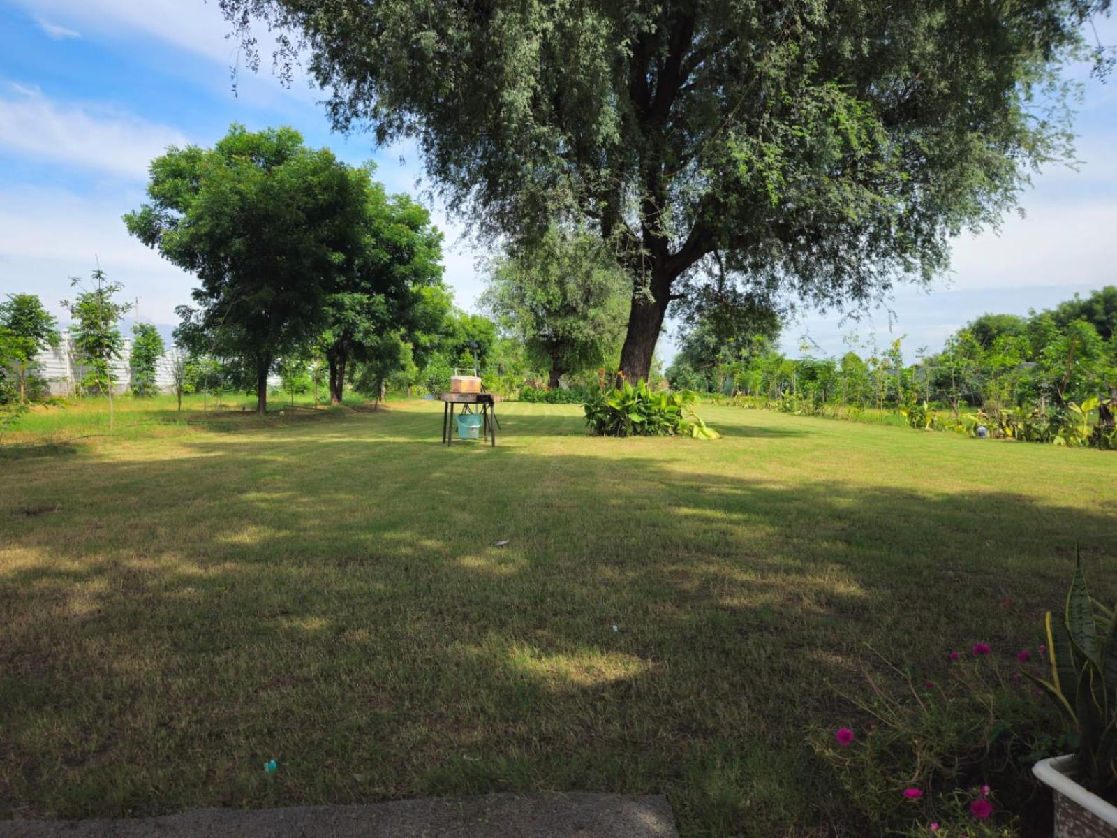Farm stay Bliss Farm *