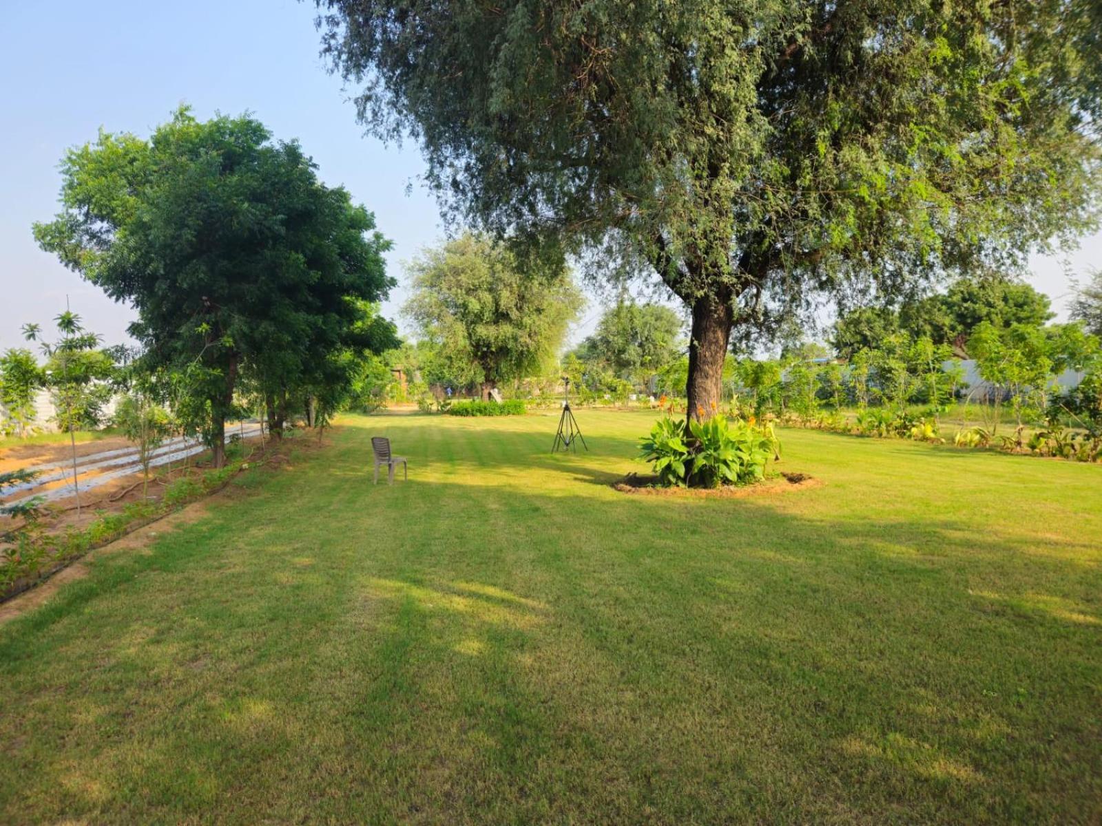 Farm stay Bliss Farm Jaipur
