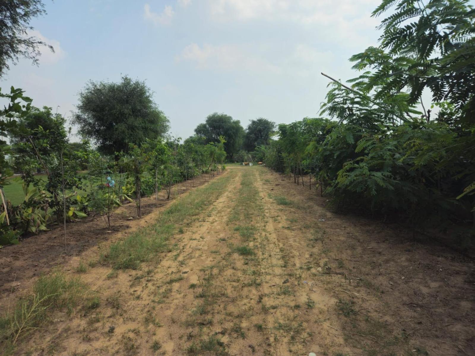 Bliss Farm Farm stay