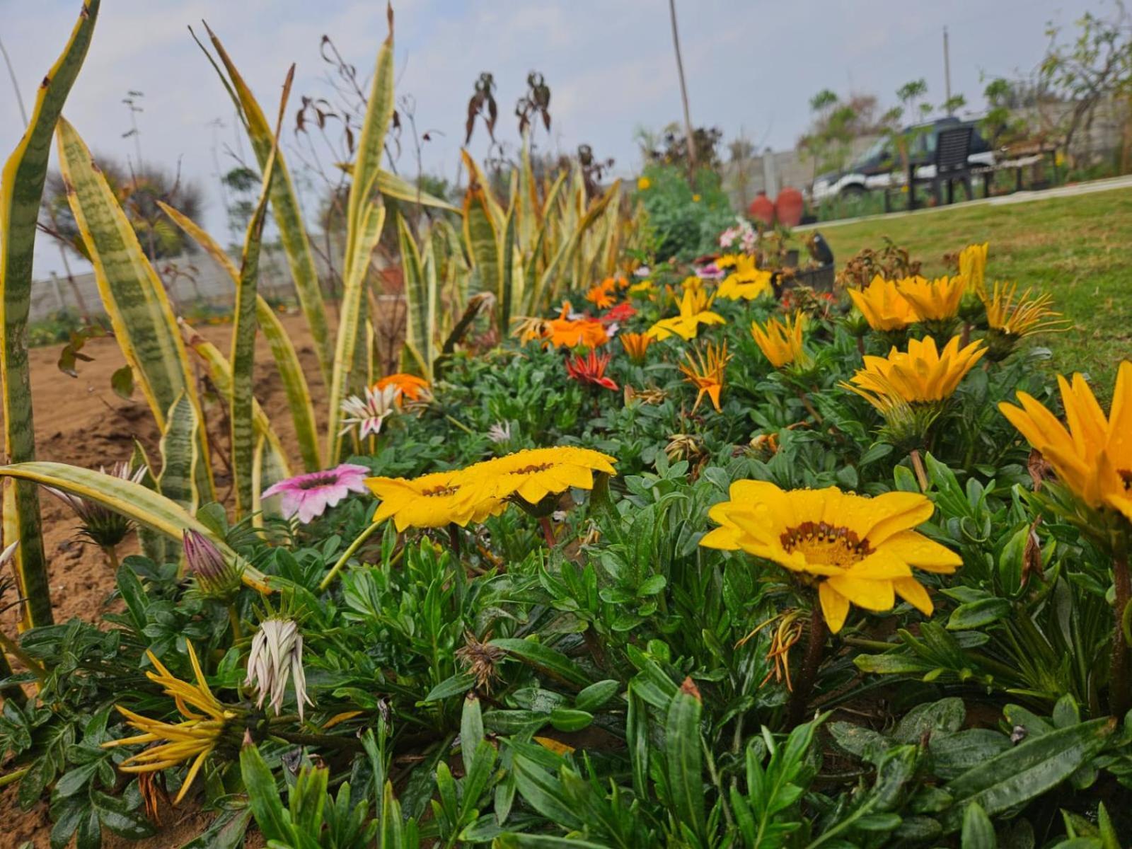 Bliss Farm * Jaipur