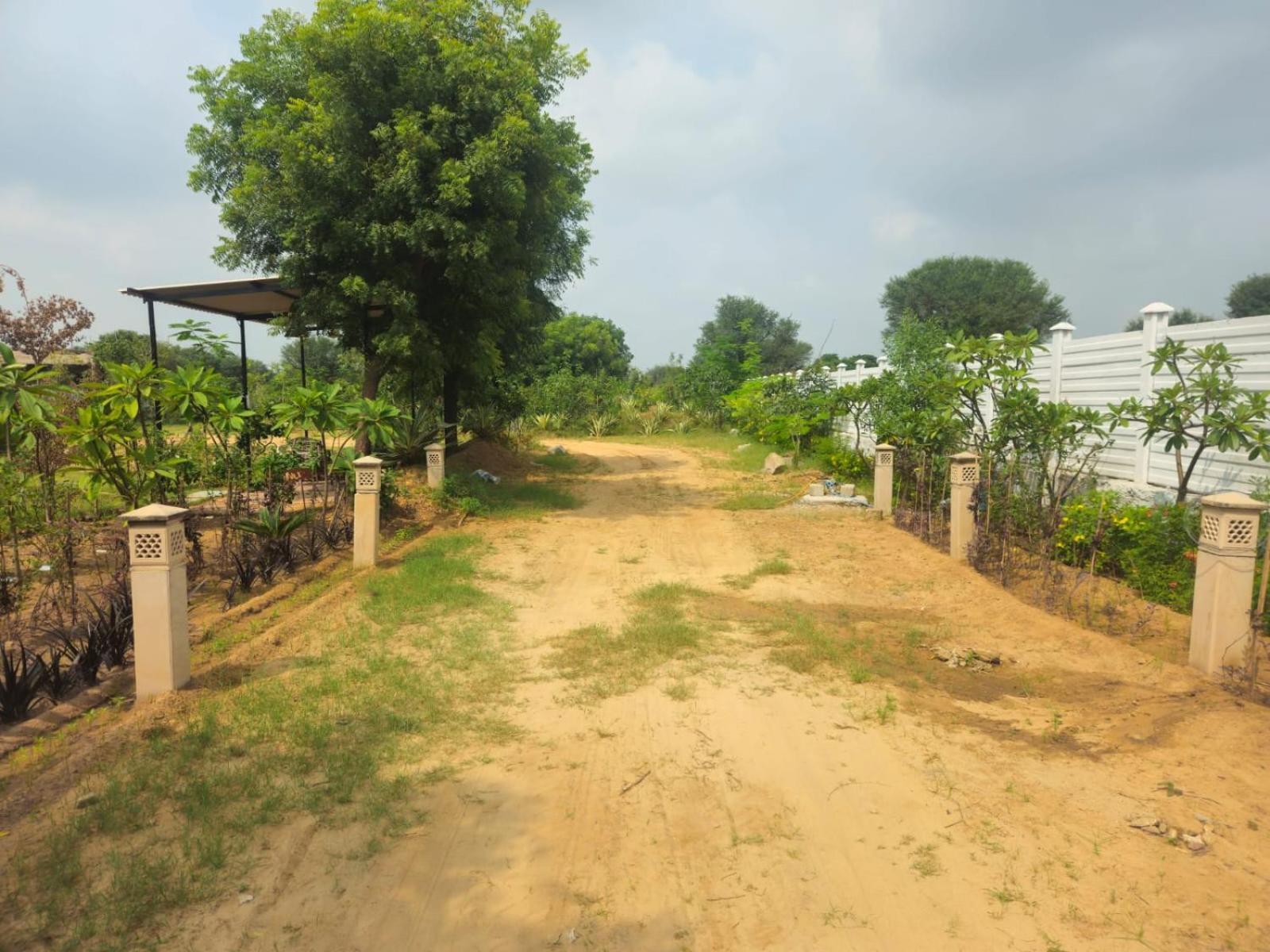 Bliss Farm
