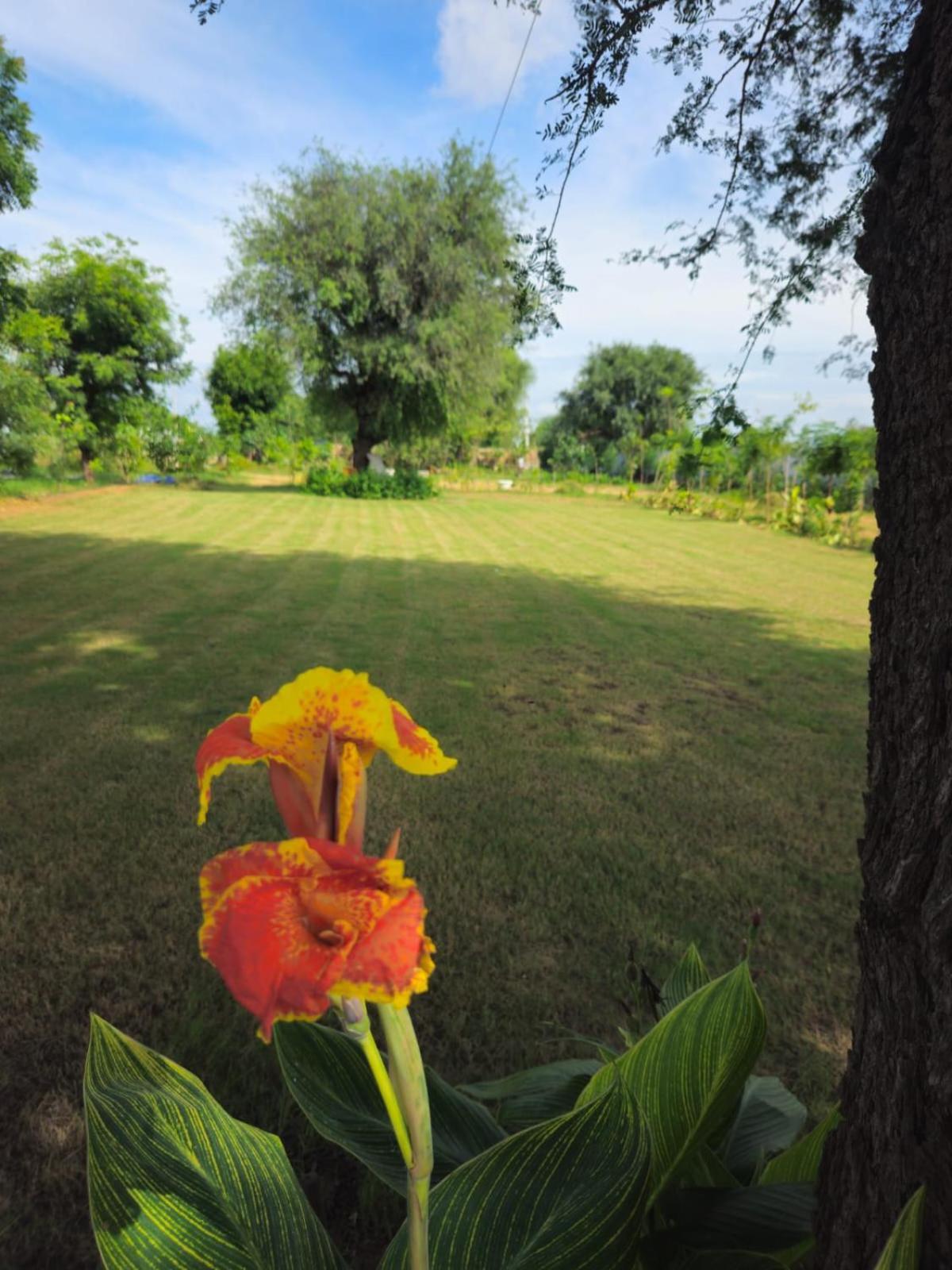 Bliss Farm Farm stay *