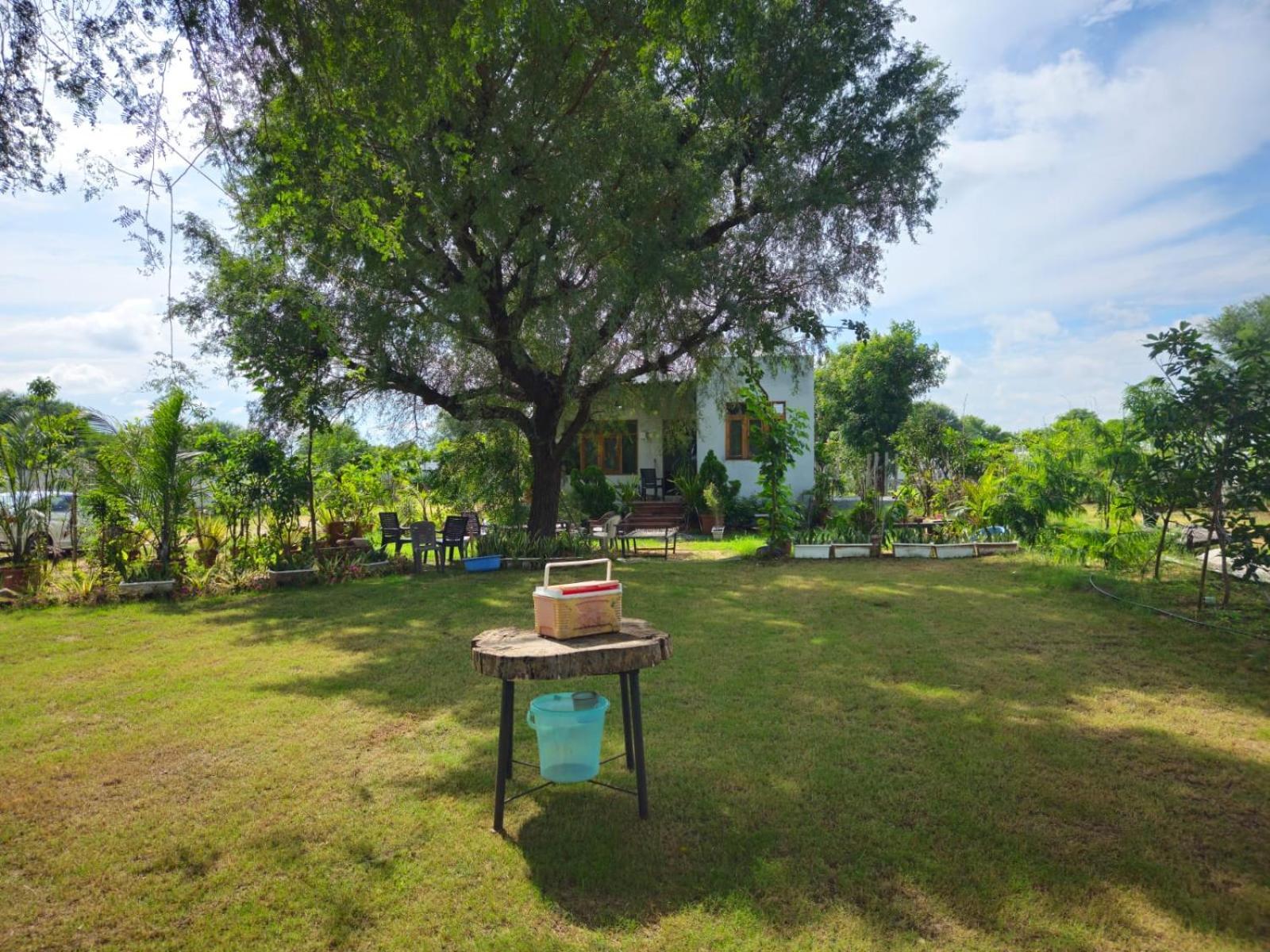 Bliss Farm Farm stay Jaipur