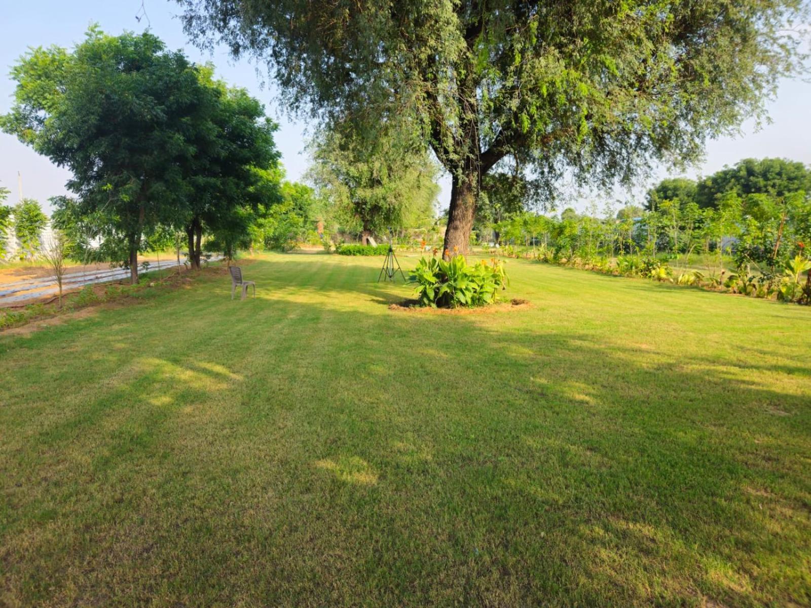 Bliss Farm Farm stay