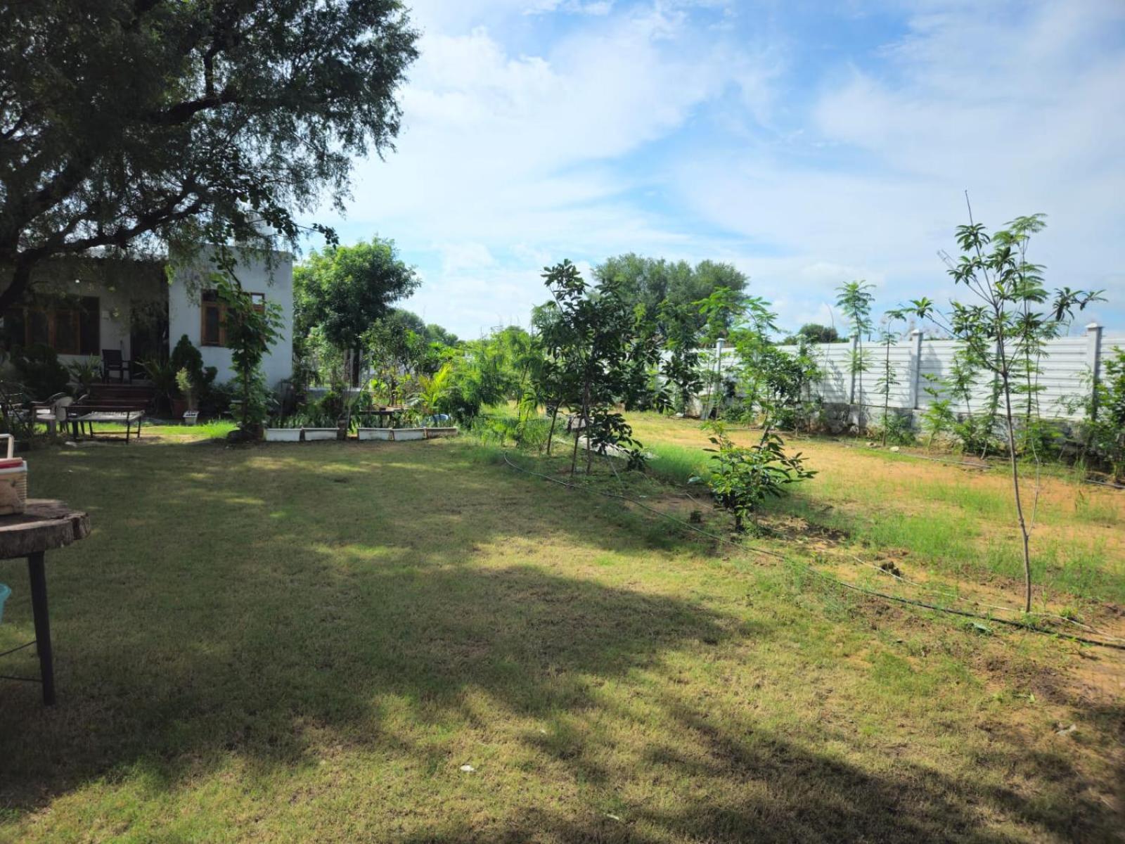 Bliss Farm Farm stay *