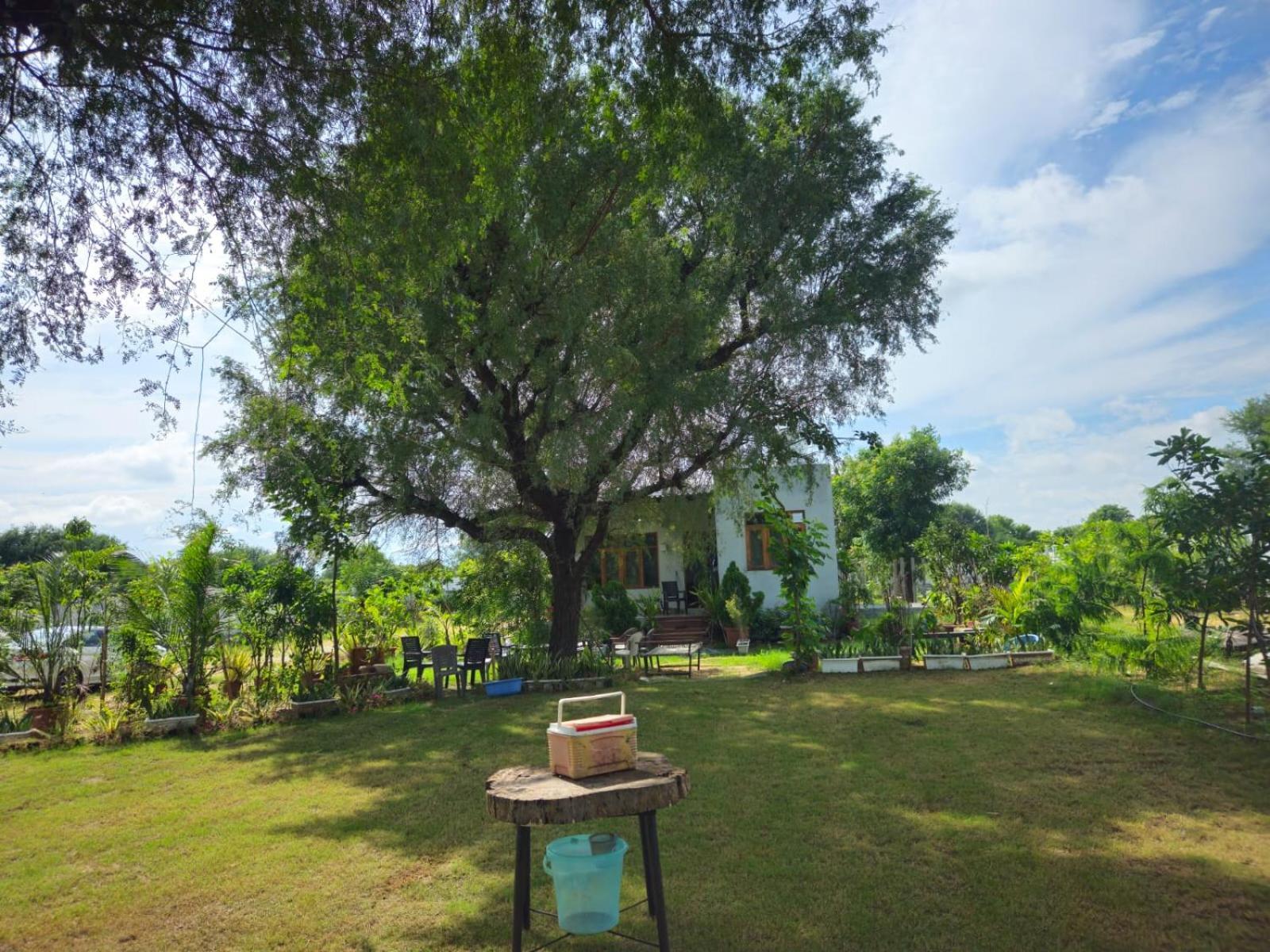Bliss Farm *
