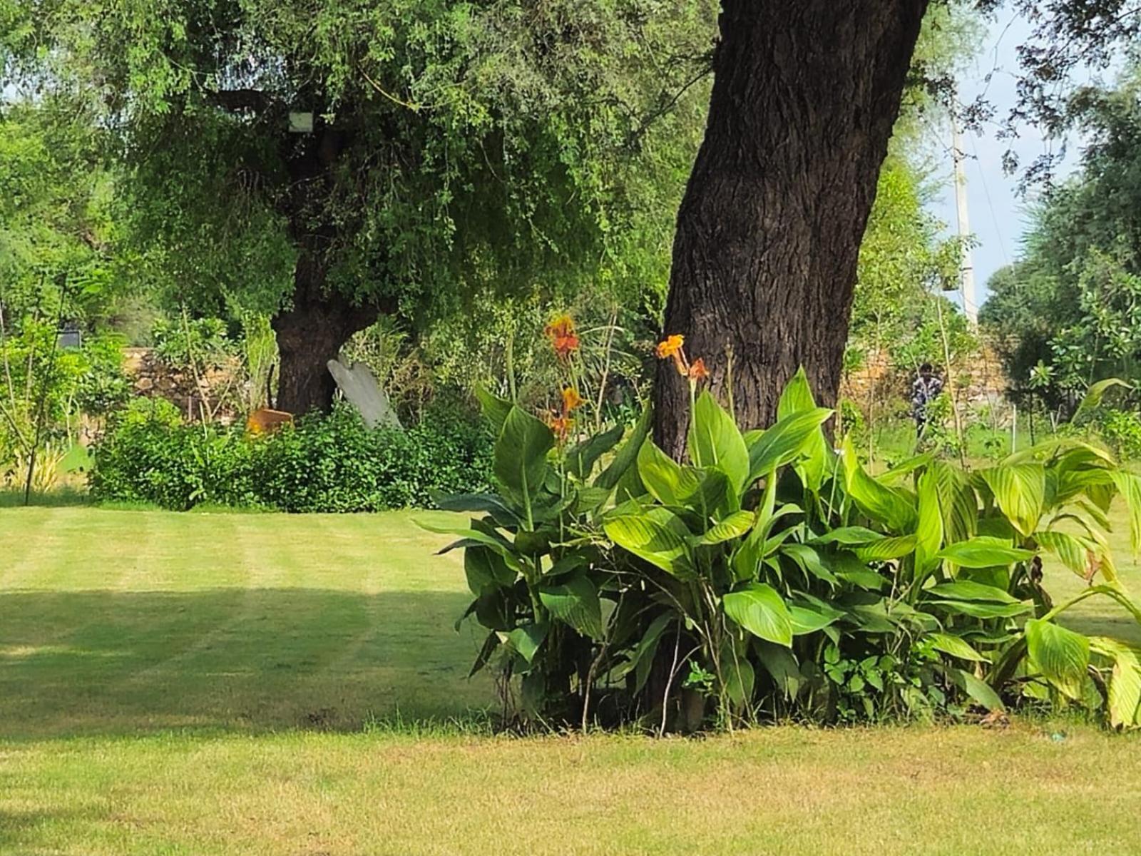 Bliss Farm Farm stay