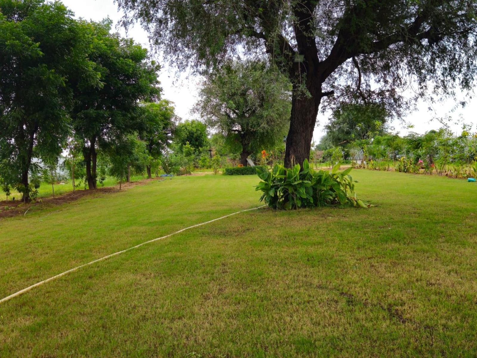 Farm stay Bliss Farm