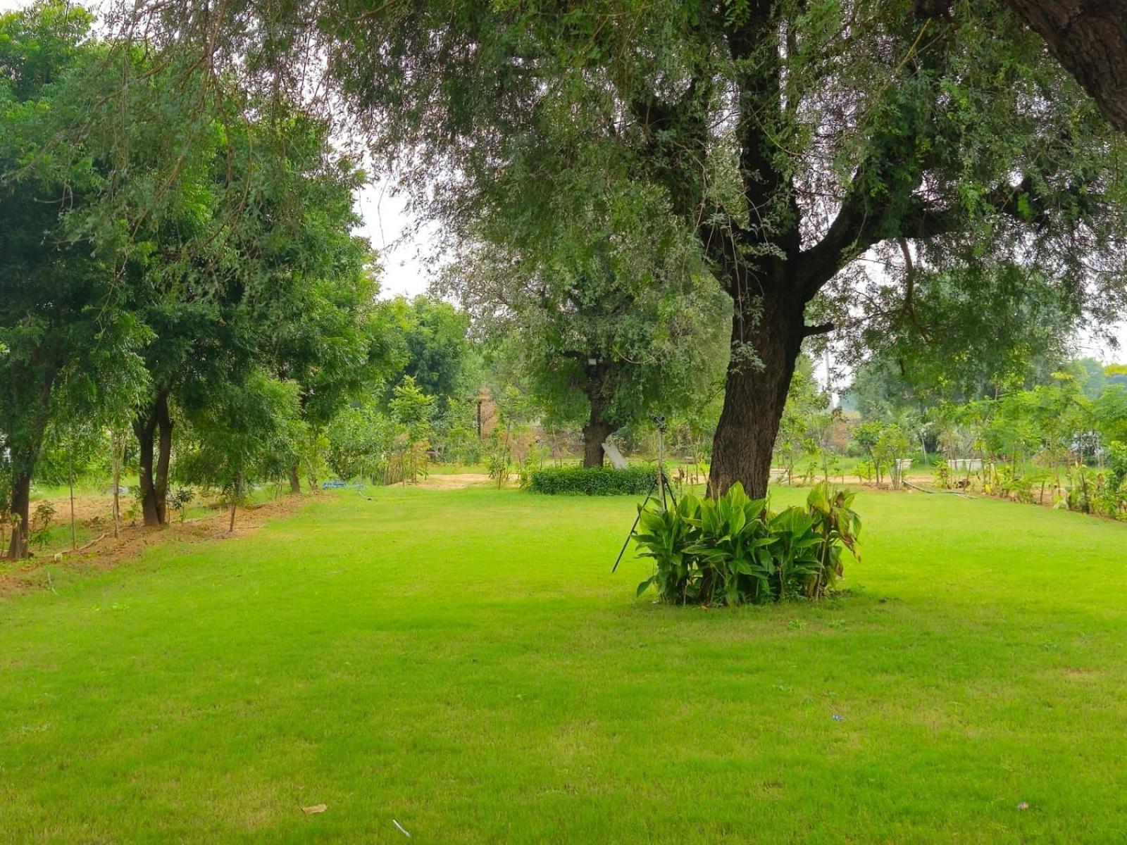 Farm stay Bliss Farm *