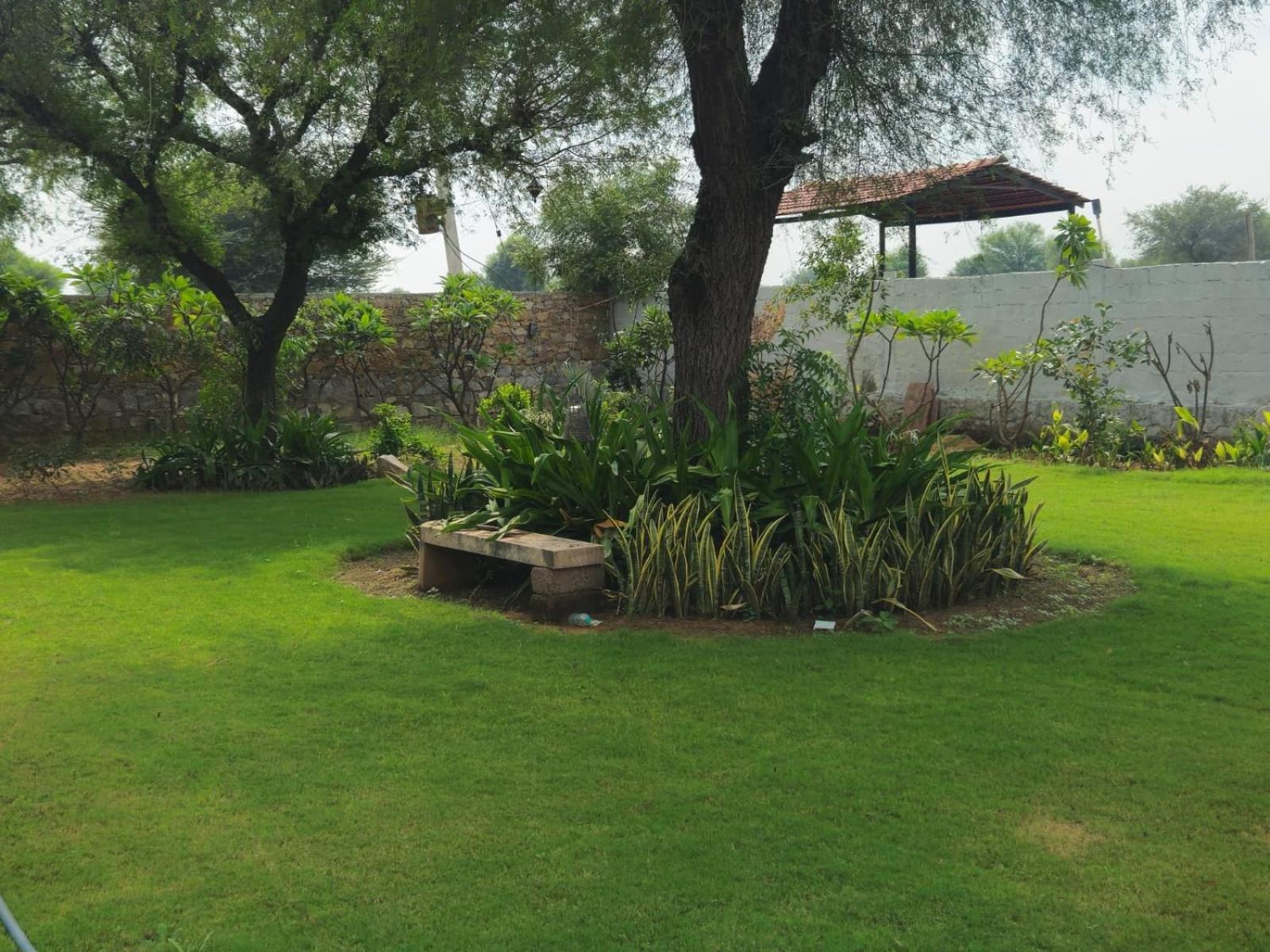 Bliss Farm * Jaipur