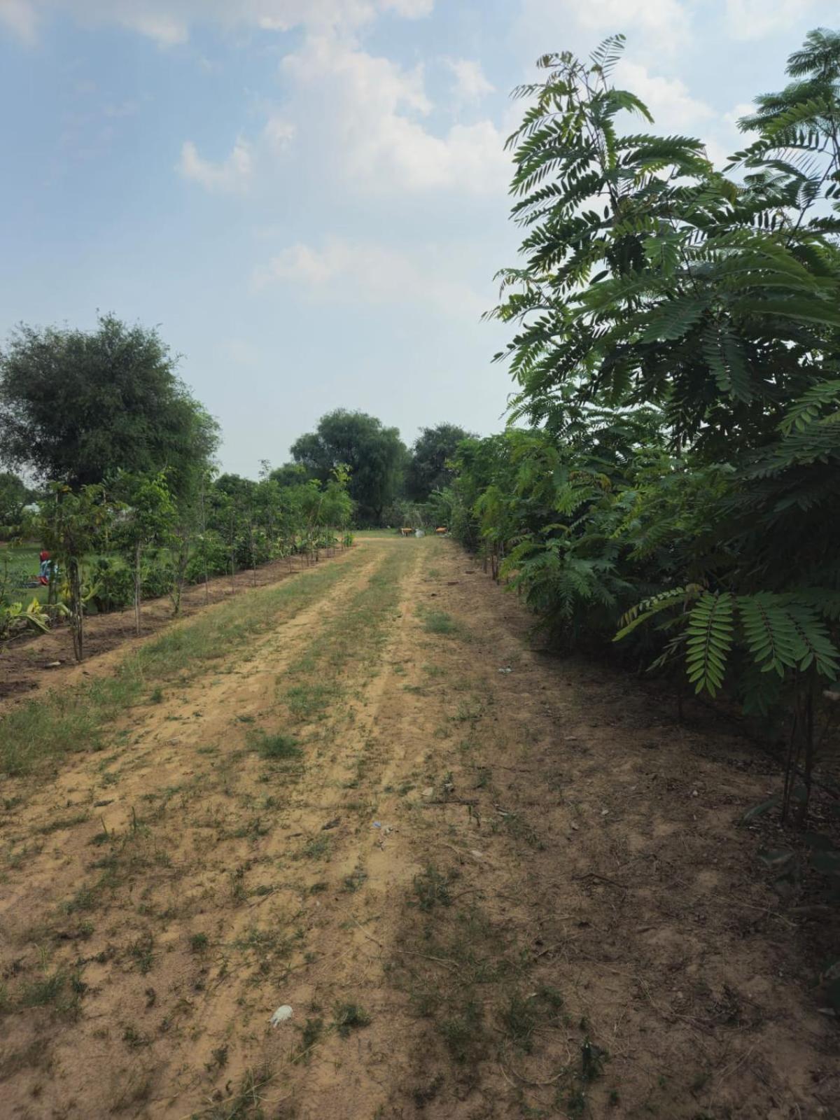 Farm stay Bliss Farm