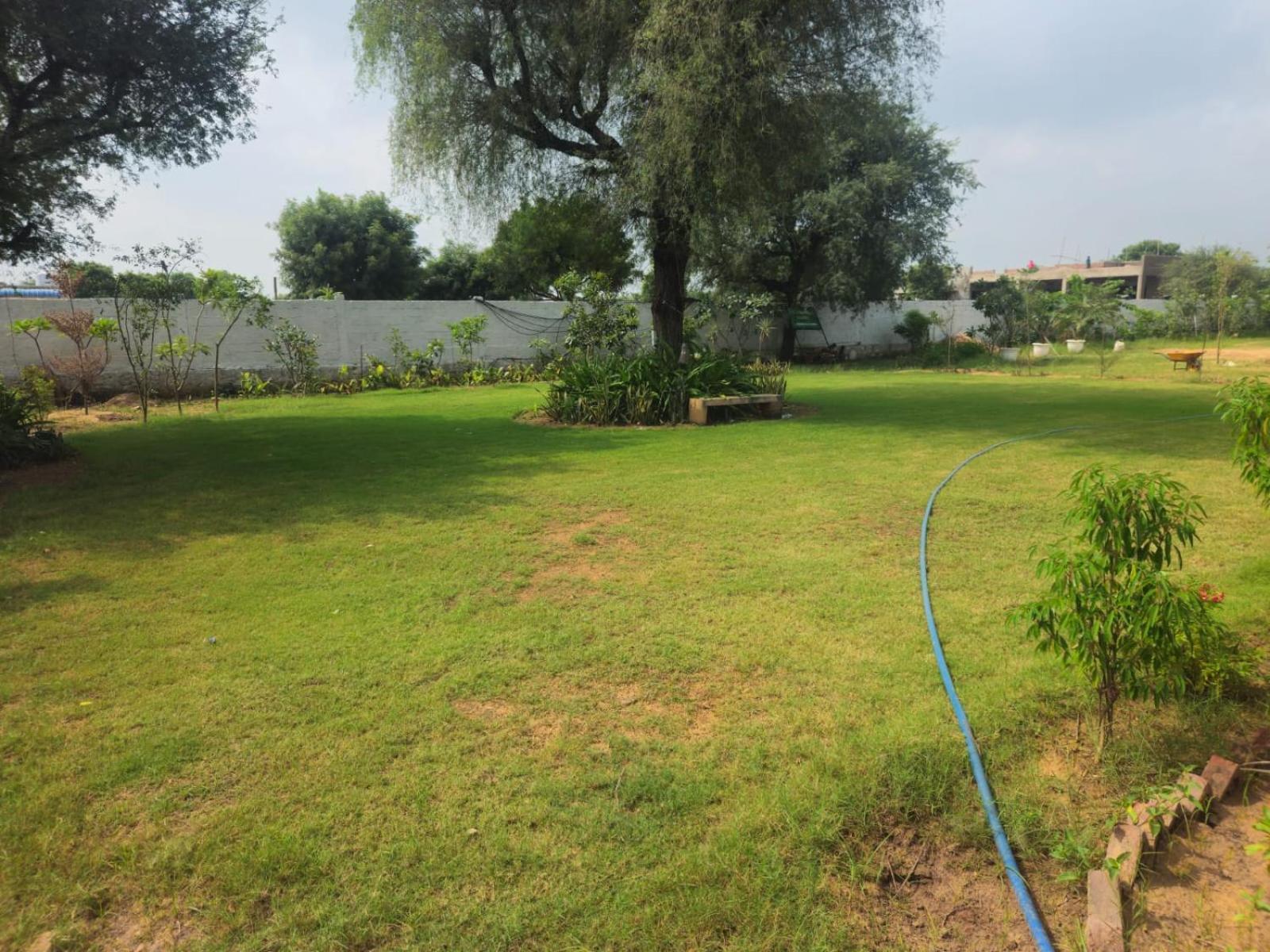 Bliss Farm Farm stay *