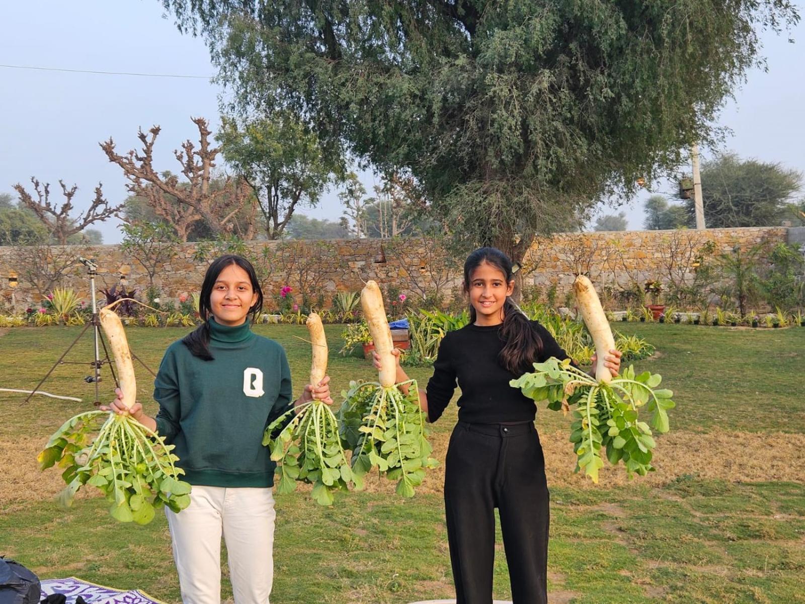 Bliss Farm Jaipur