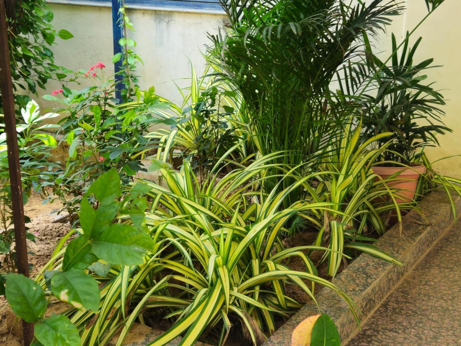 Bliss Farm Farm stay Jaipur