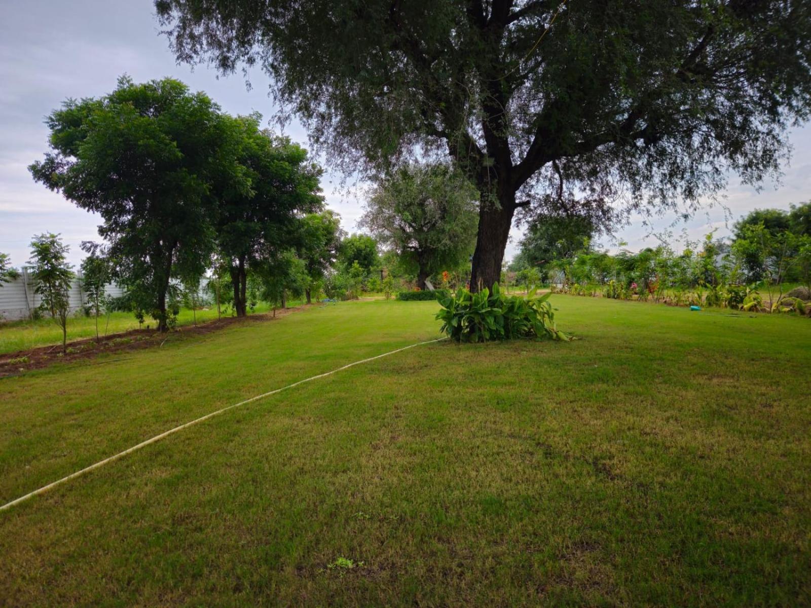Farm stay Bliss Farm Jaipur