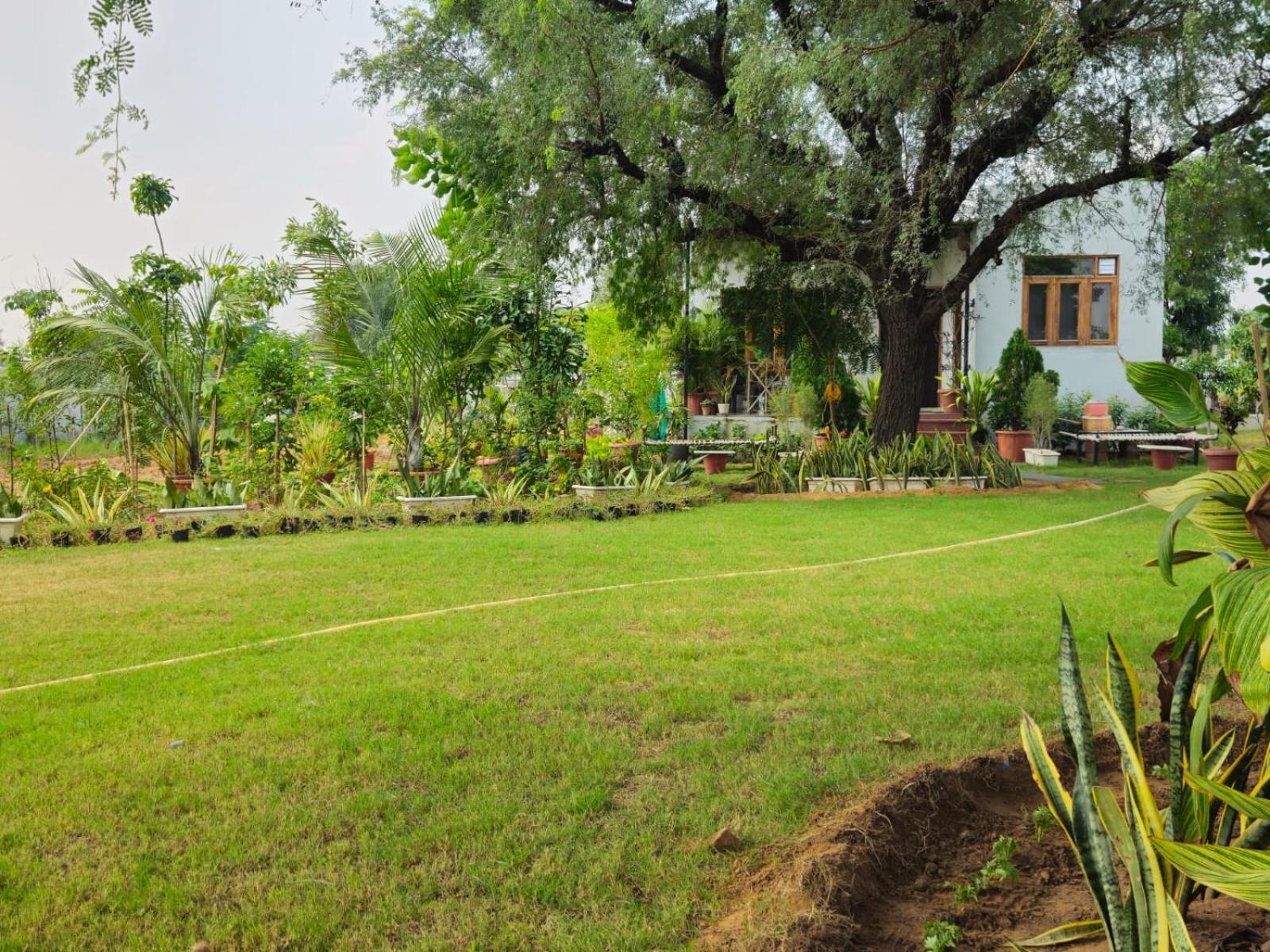 Bliss Farm Jaipur
