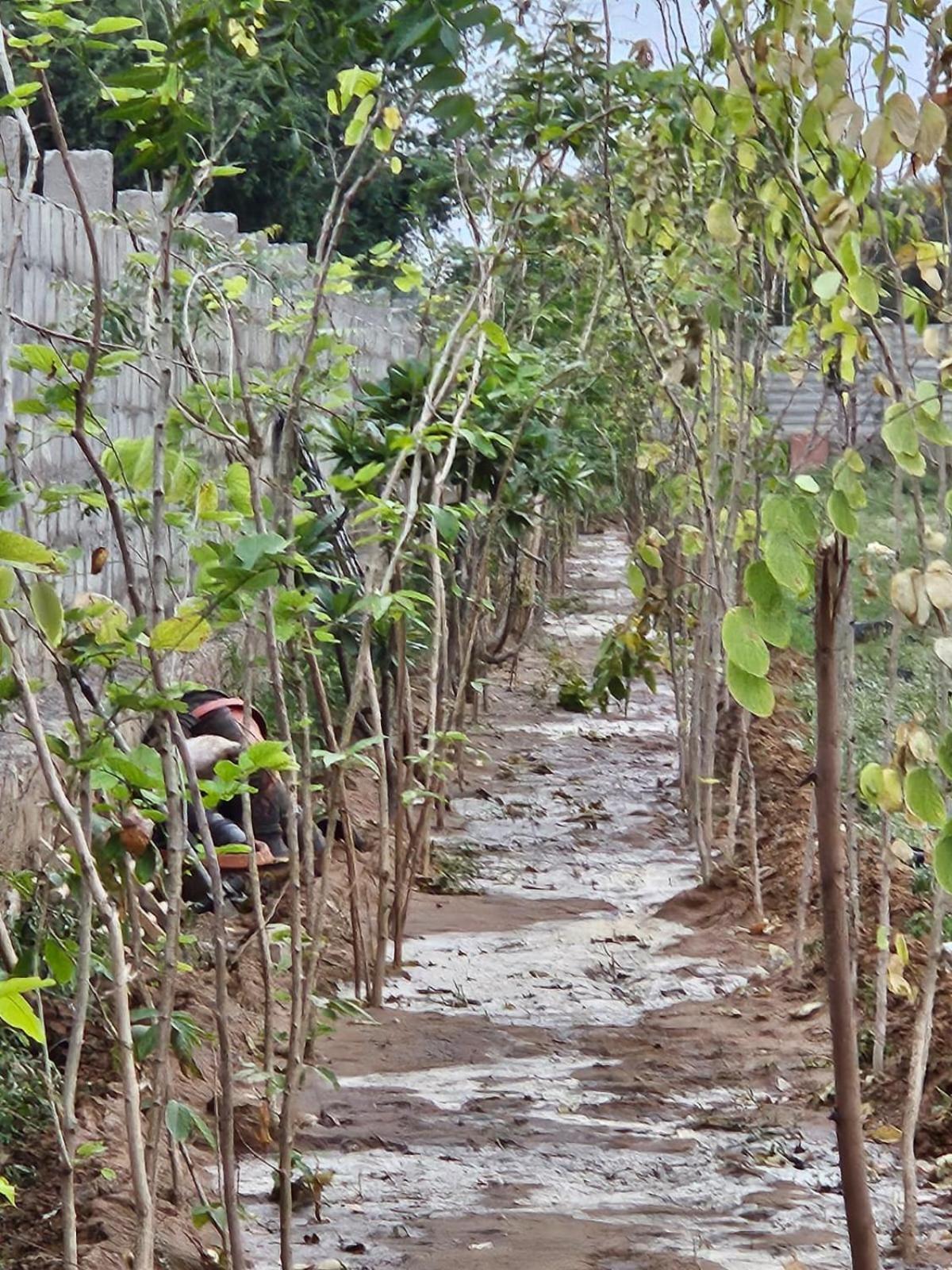 Farm stay Bliss Farm Jaipur
