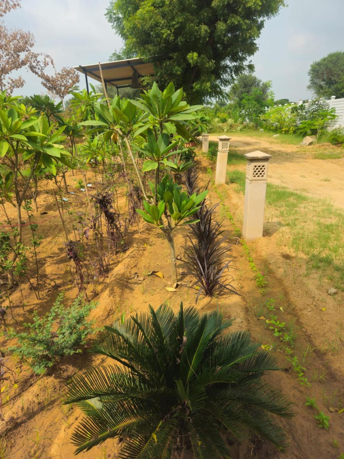 Bliss Farm
