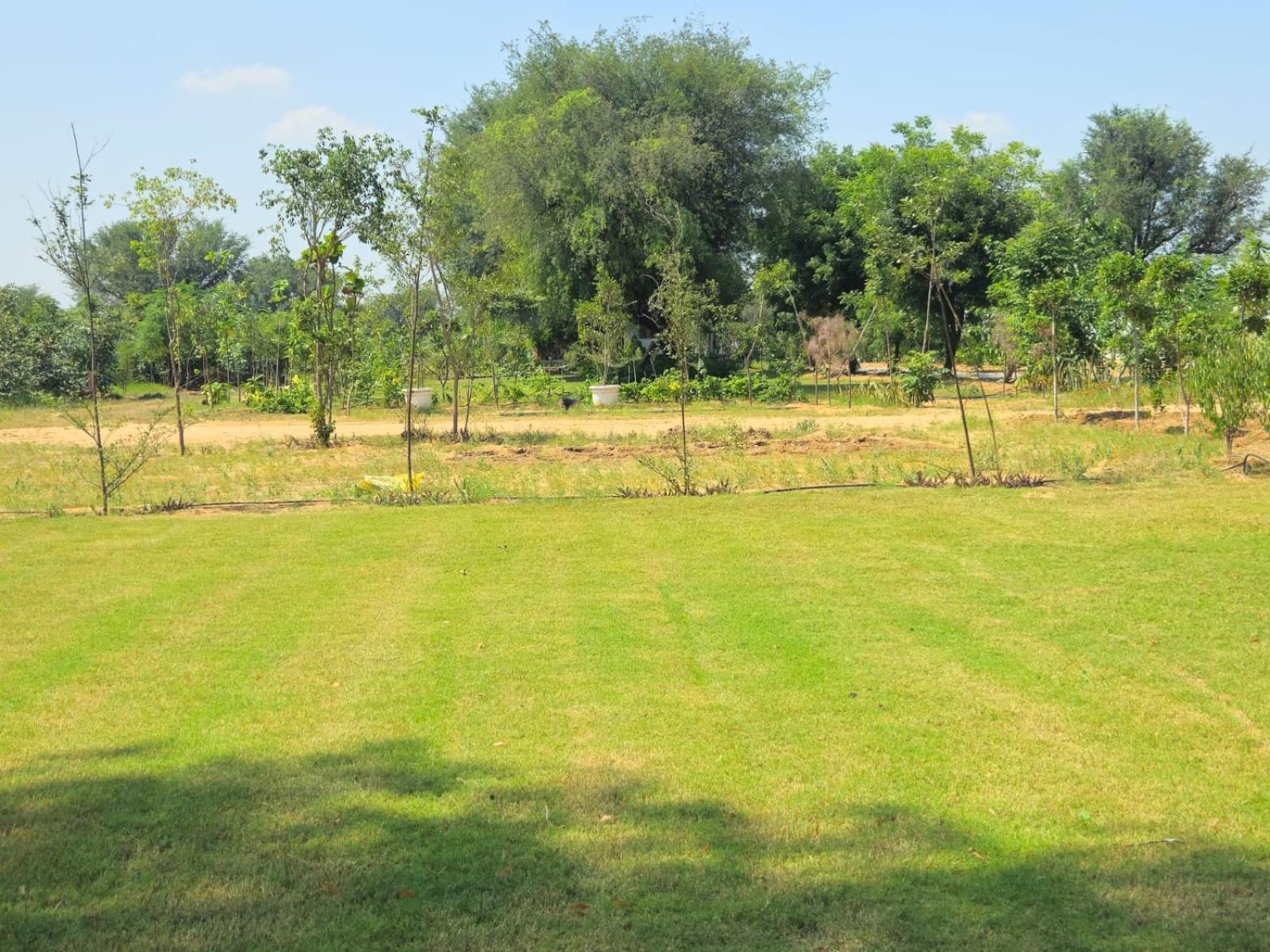 Bliss Farm Farm stay