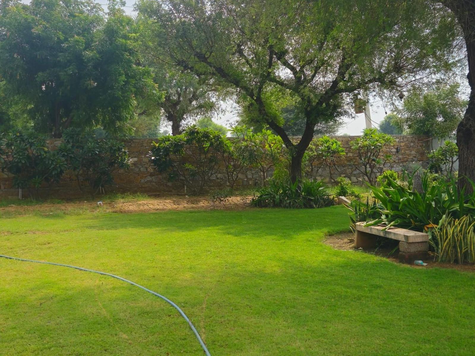 Bliss Farm Farm stay