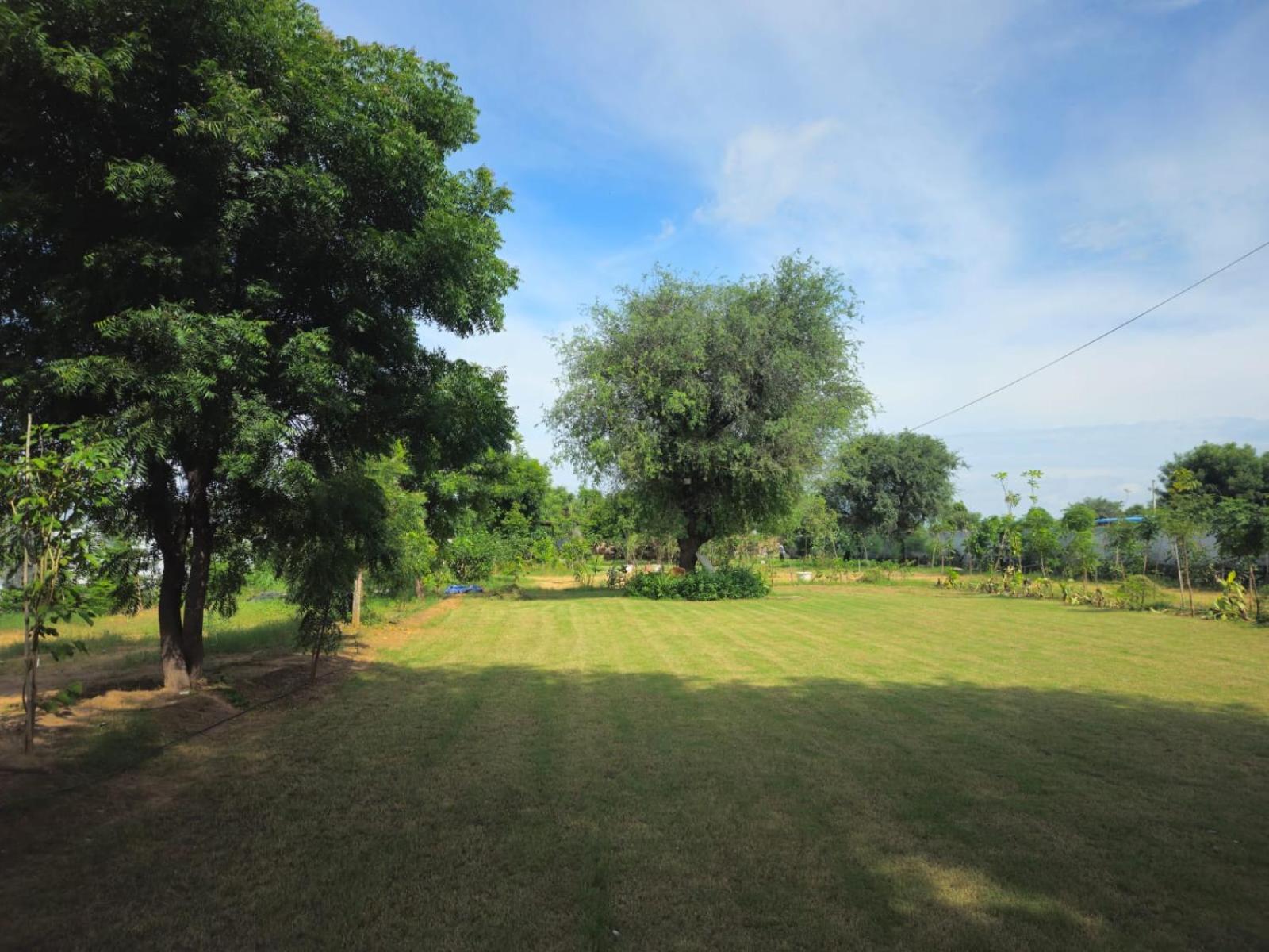 Farm stay Bliss Farm