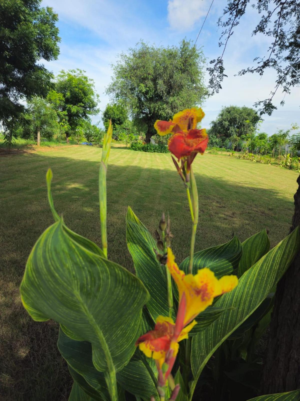 Bliss Farm Farm stay