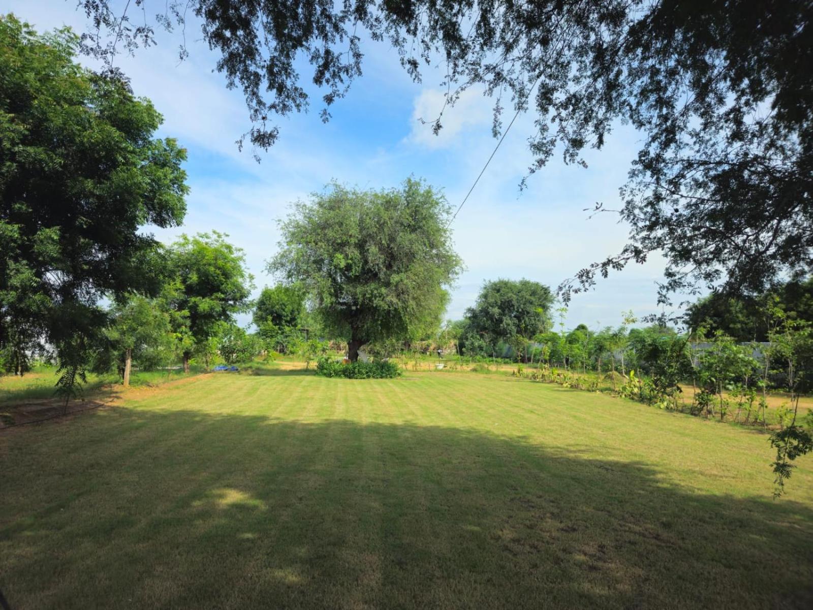 Farm stay Bliss Farm *