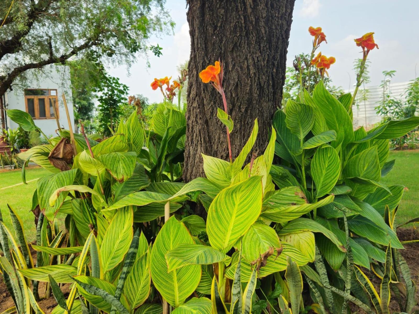Bliss Farm Farm stay Jaipur