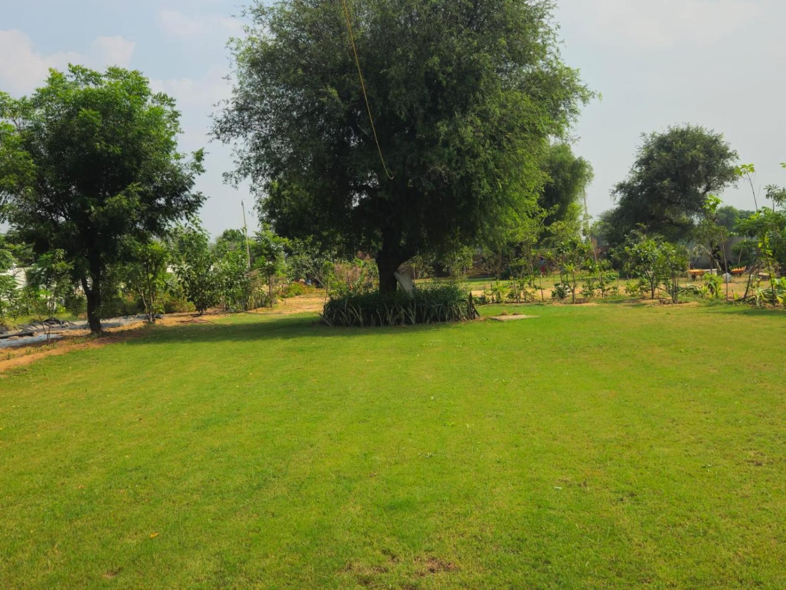 Farm stay Bliss Farm *