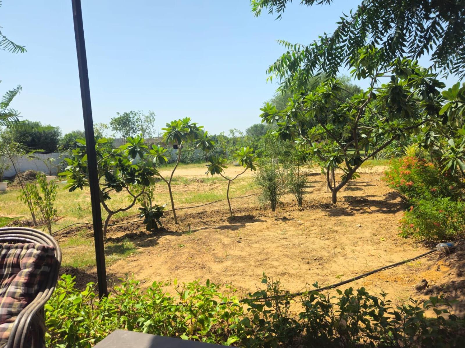 Farm stay Bliss Farm Jaipur