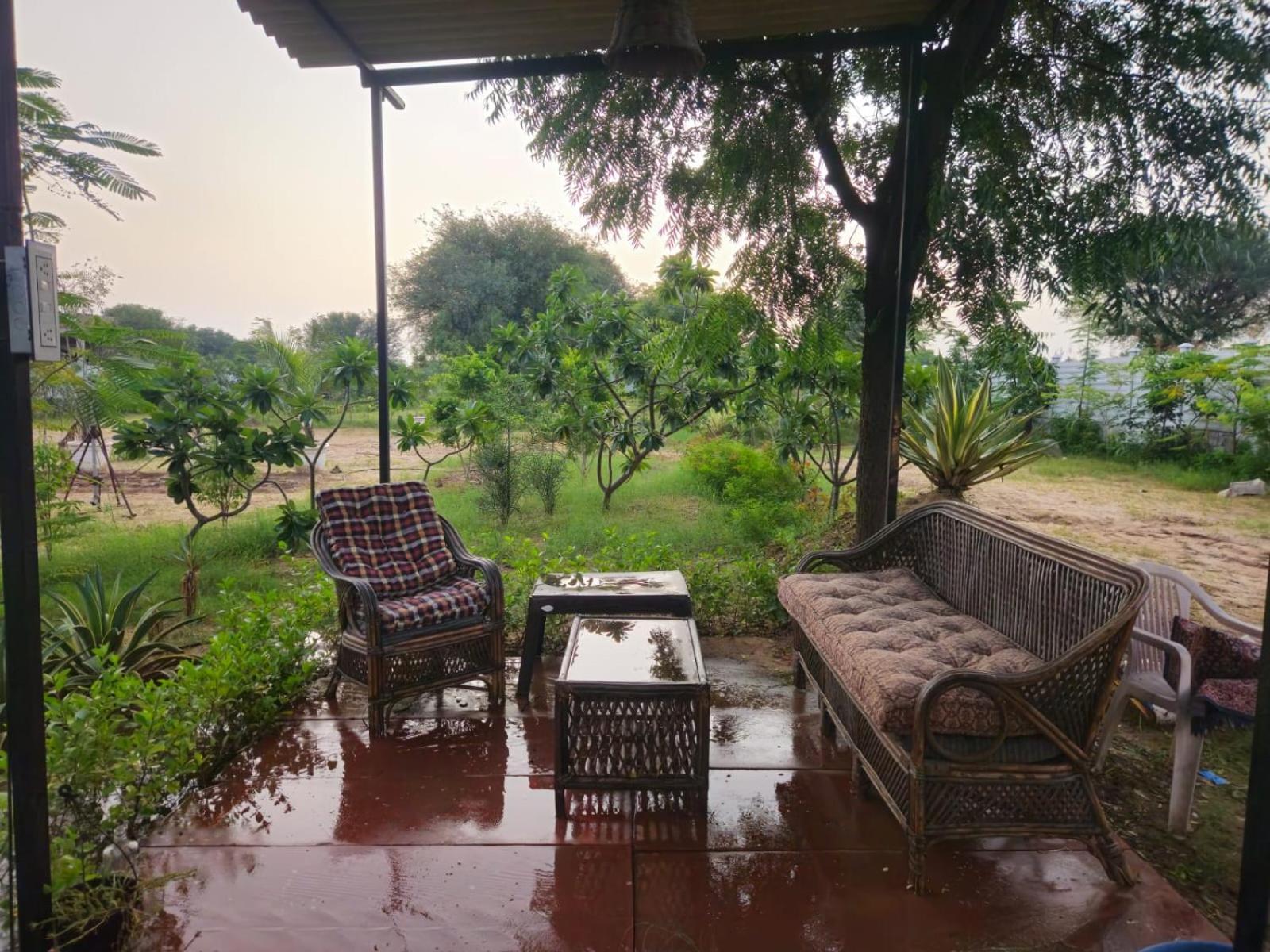 Bliss Farm *