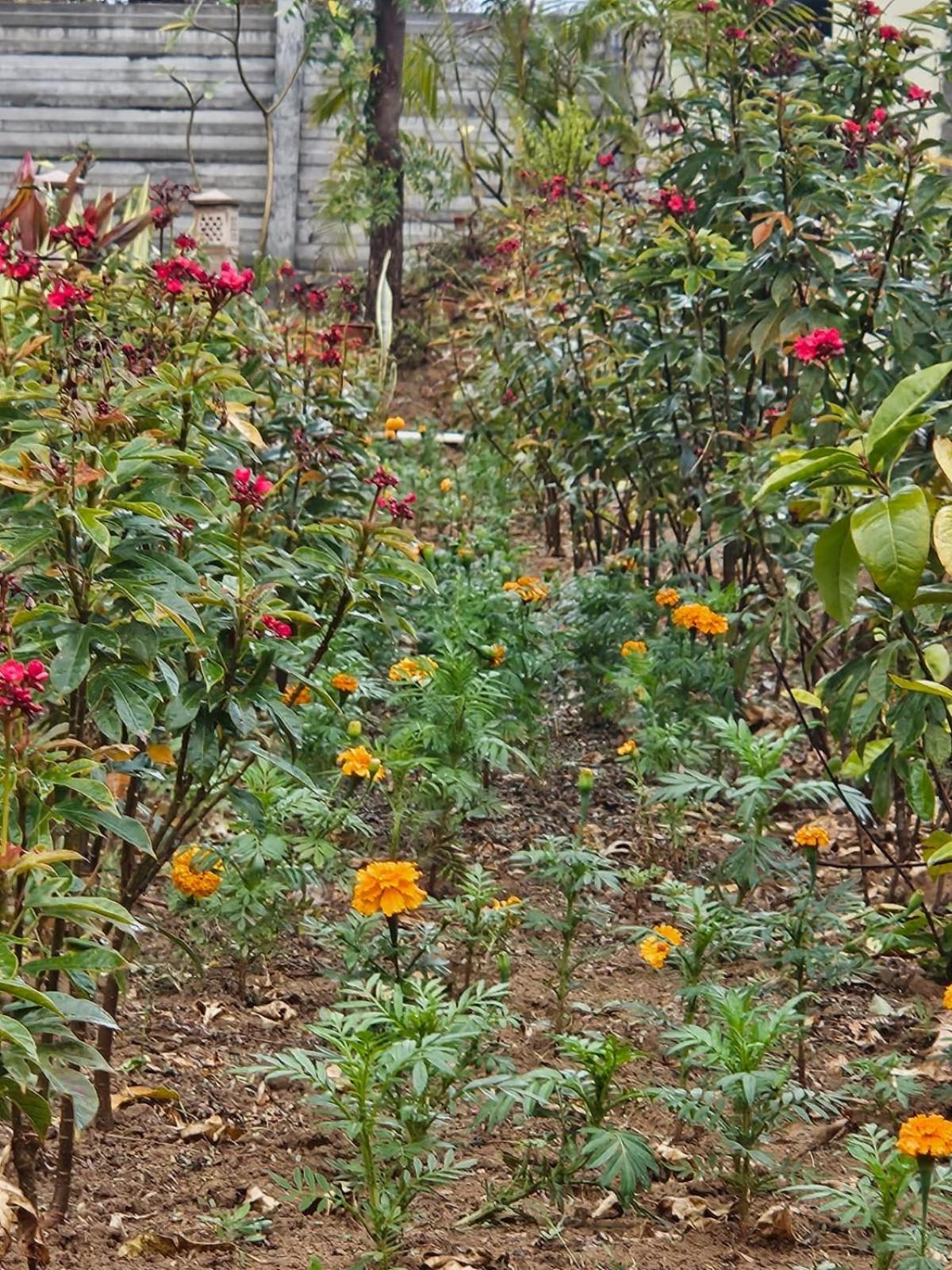 Bliss Farm Jaipur