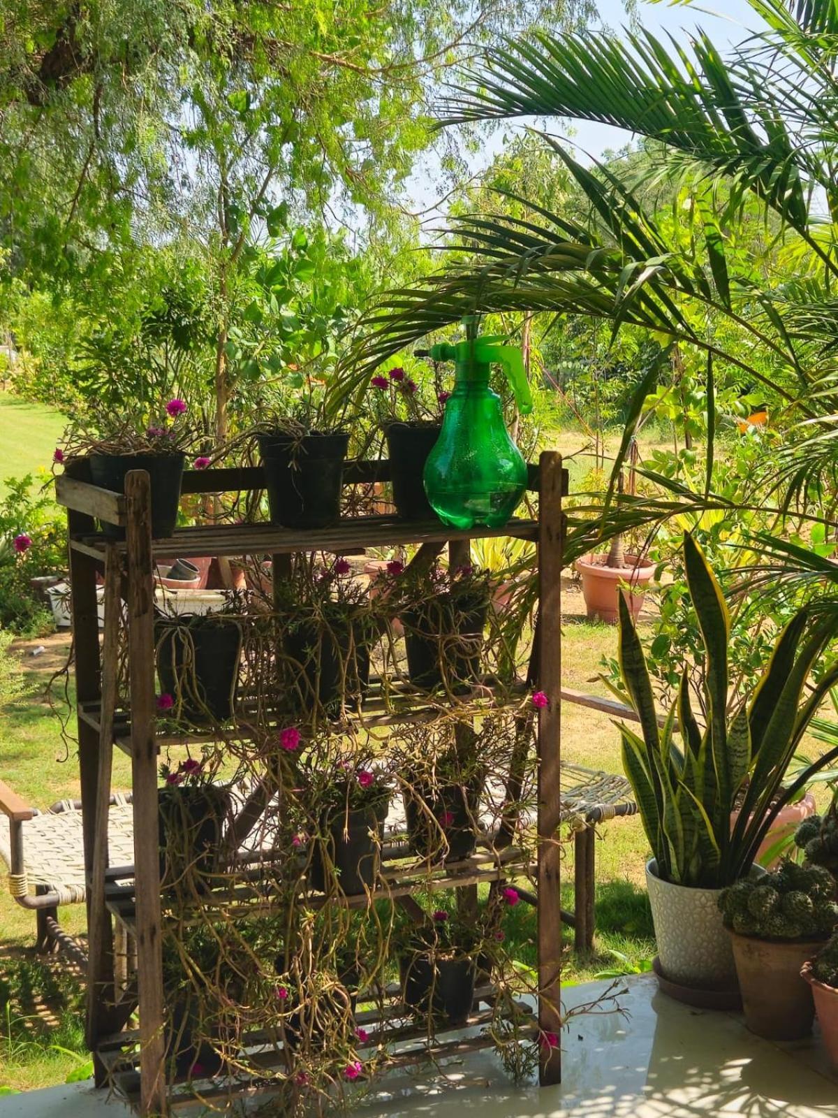 Bliss Farm Farm stay