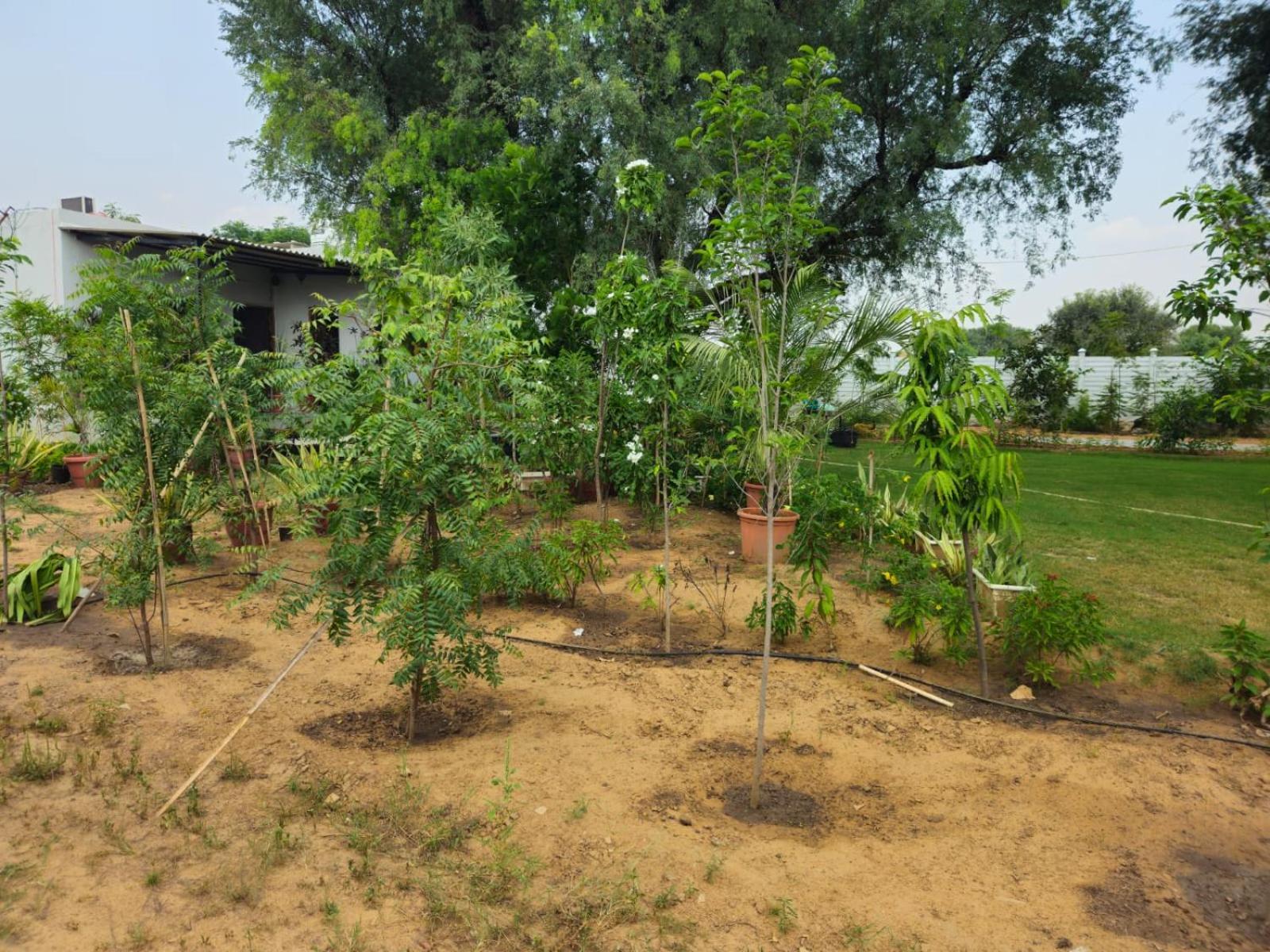 Farm stay Bliss Farm
