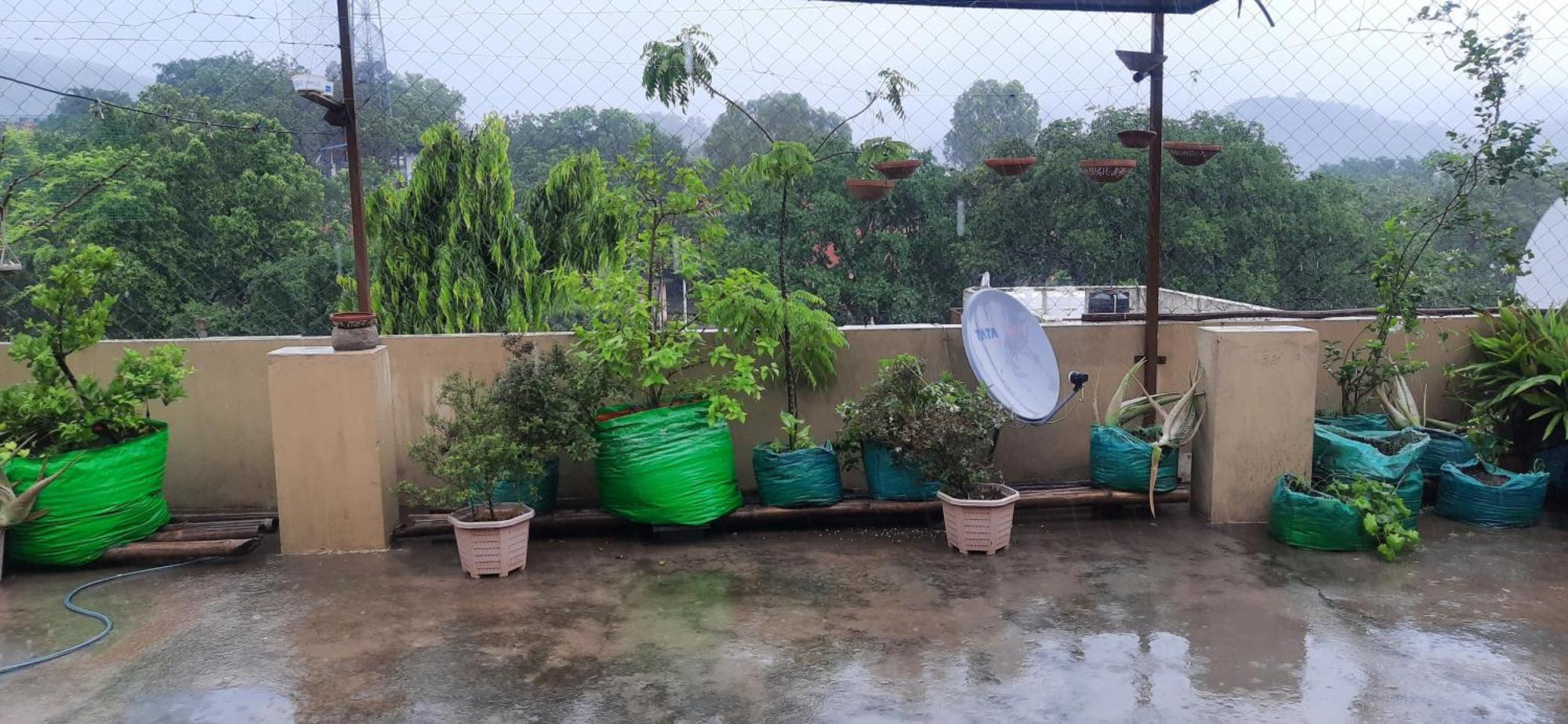 Homestay Vedic Life *