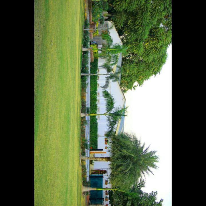 Eden Court