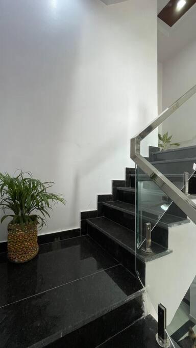 Villa Bark & Bash-villa-house *