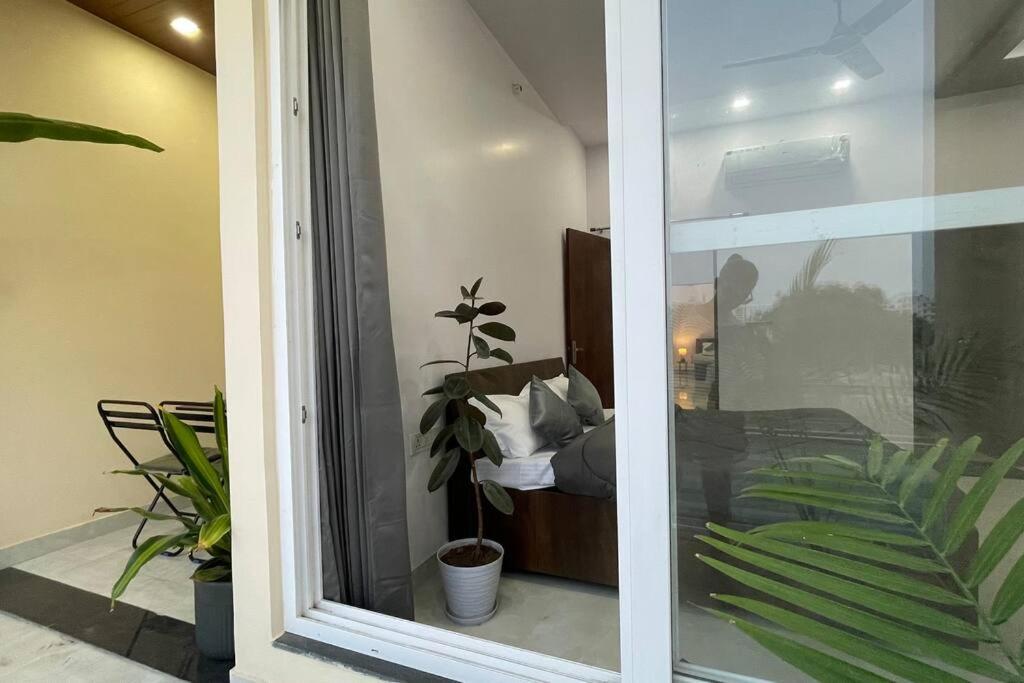 Villa Bark & Bash-villa-house